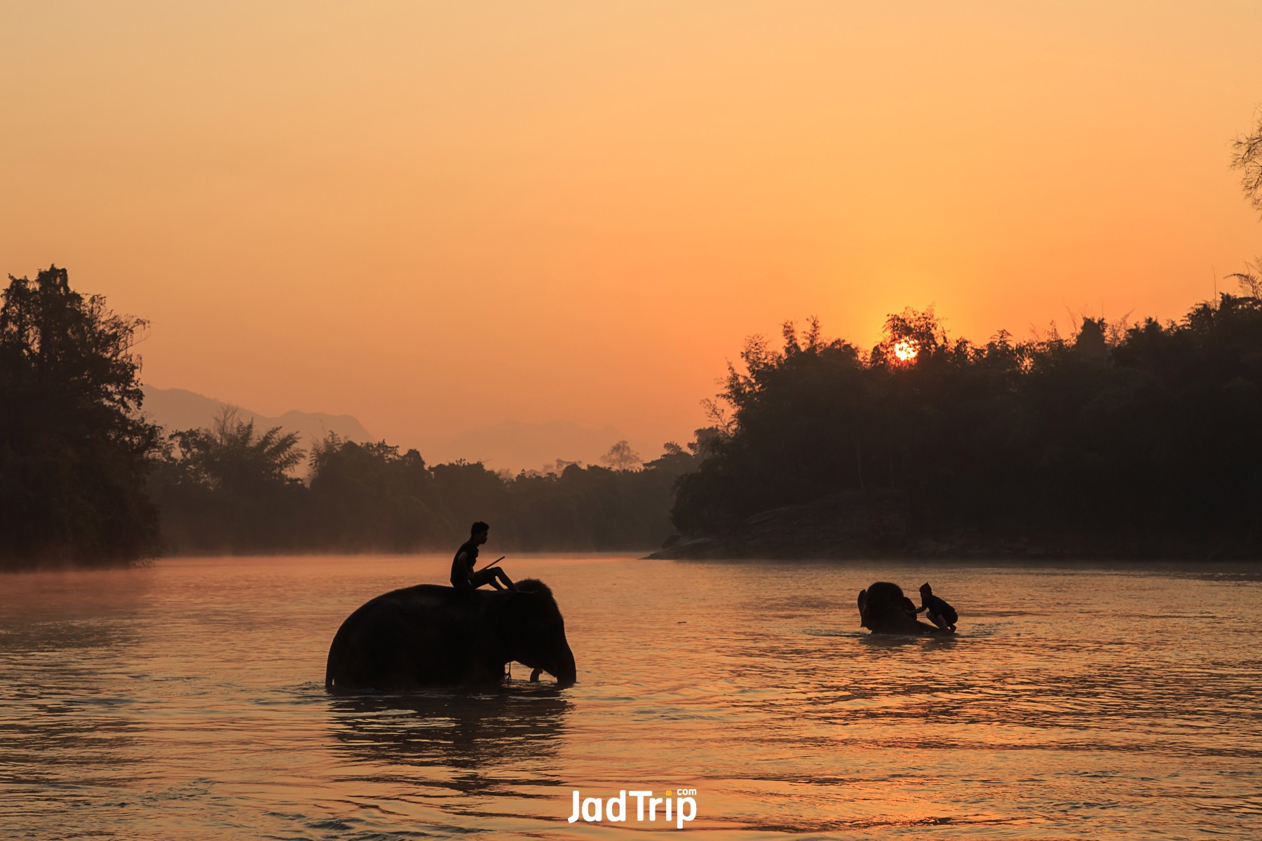 Elephant World กาญจนบุรี 9_jadtrip.jpg