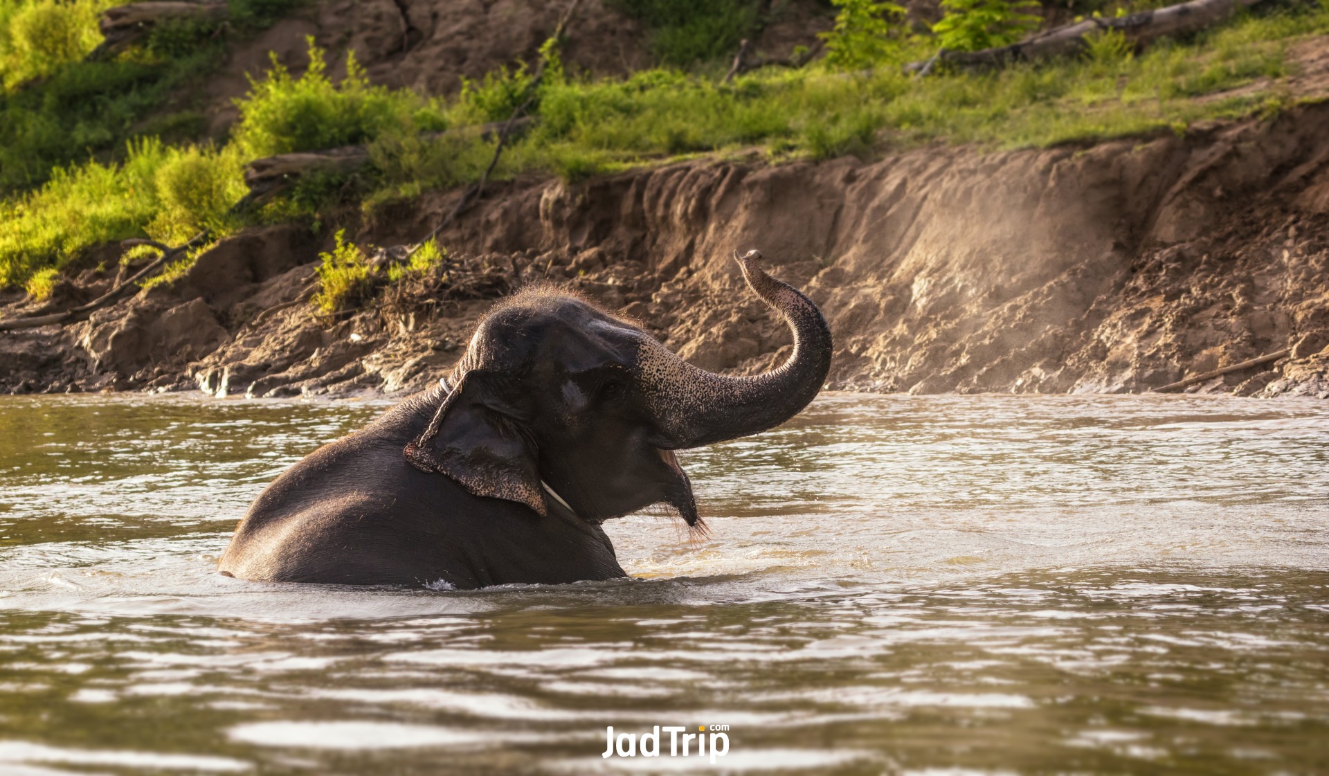 Elephant World กาญจนบุรี 10_jadtrip.jpg