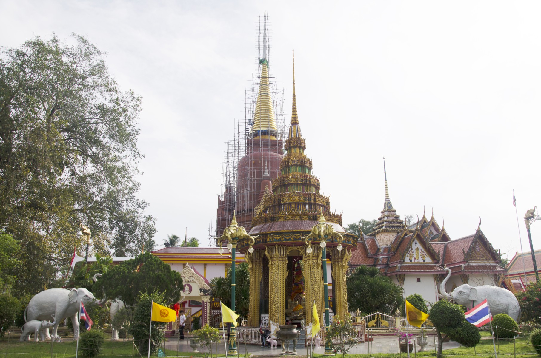 วัดช้างให้1_jadtrip.jpg