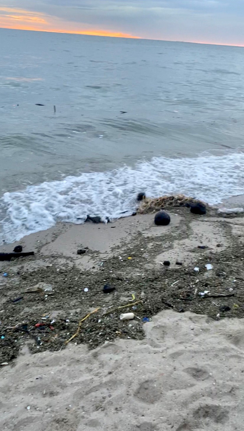 LINE_ALBUM_หาดบางแสน_220531_1_0.jpg