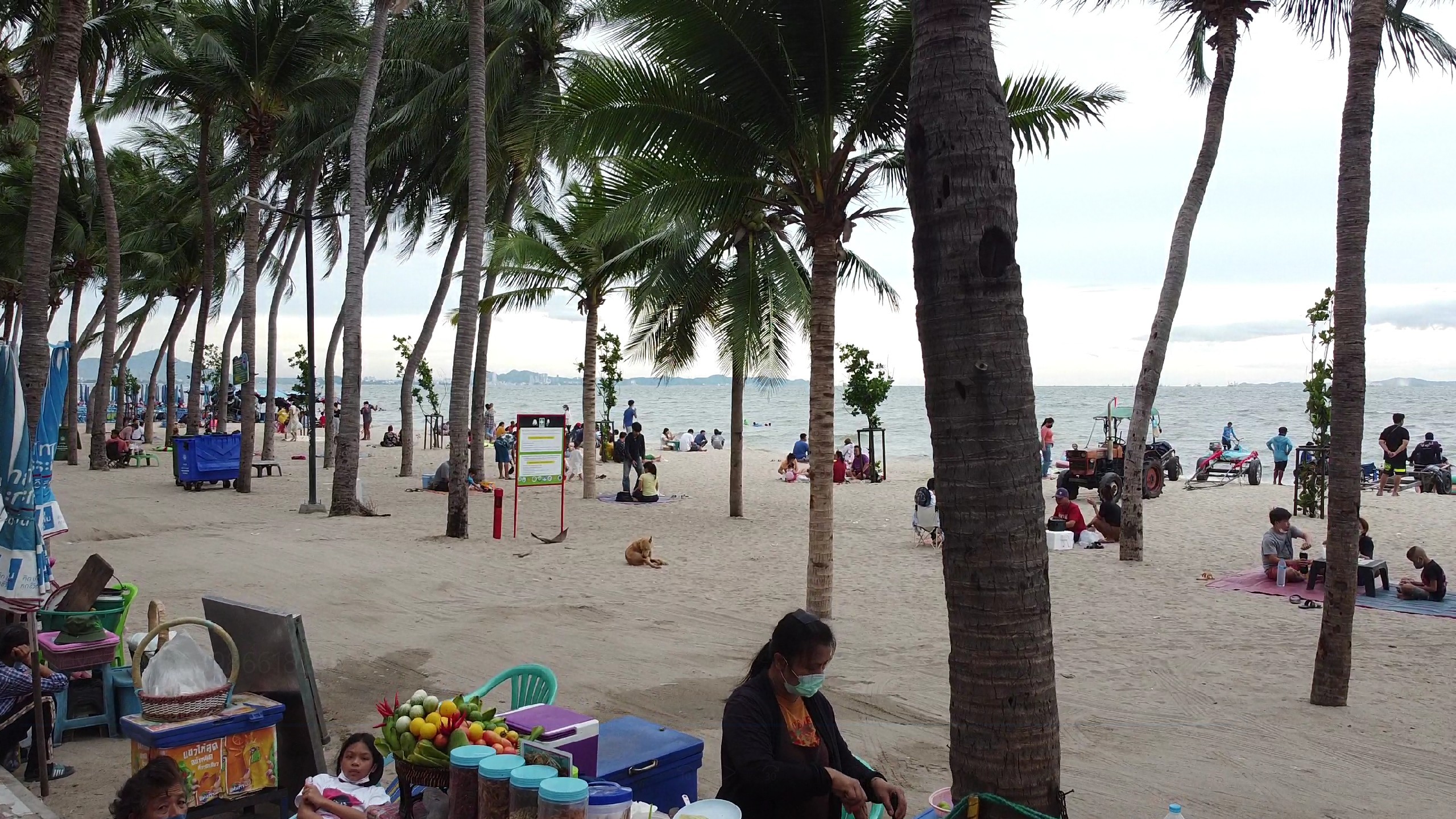 LINE_ALBUM_หาดบางแสน_220531_9.jpg