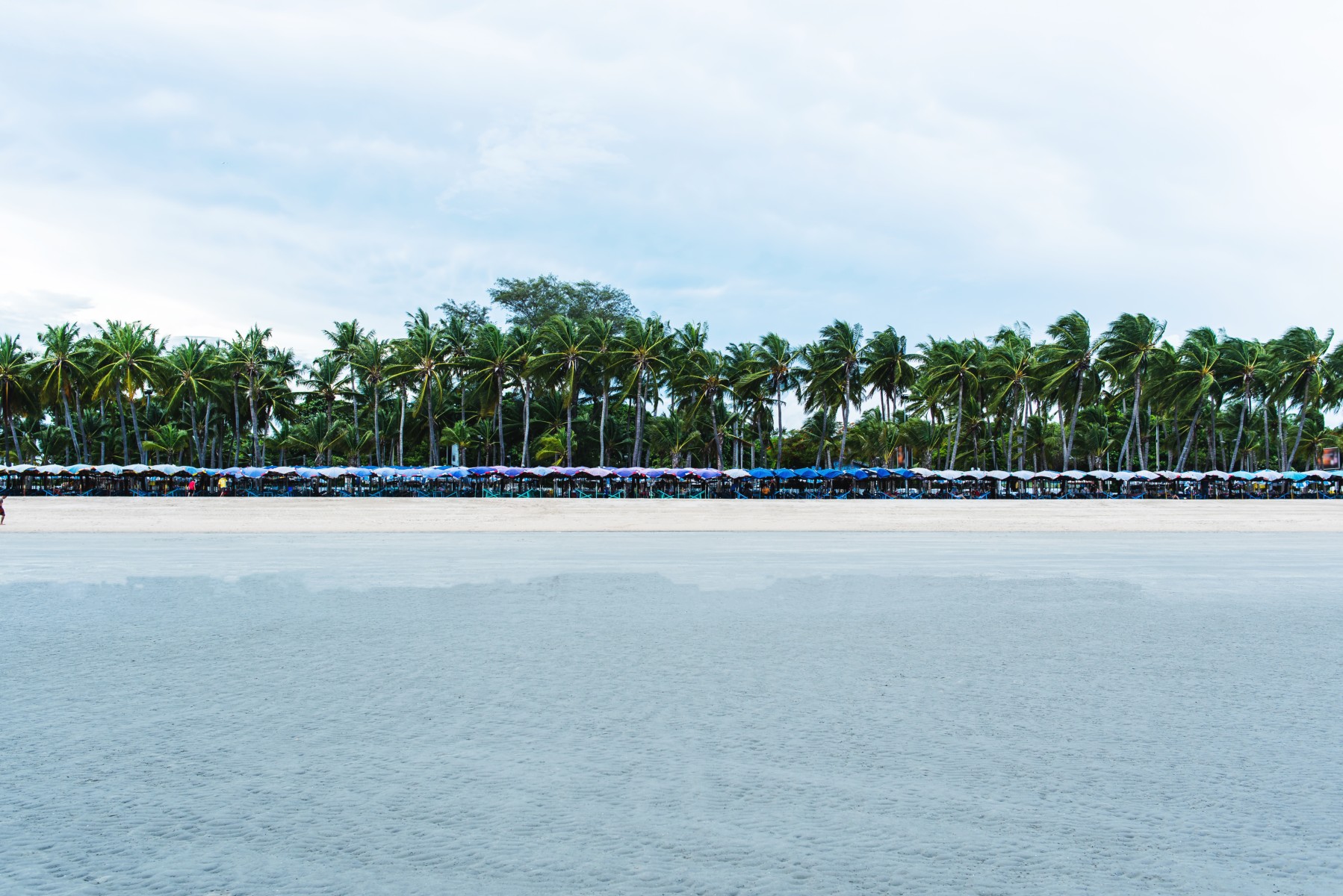 บางแสน_jadtrip (3).jpg