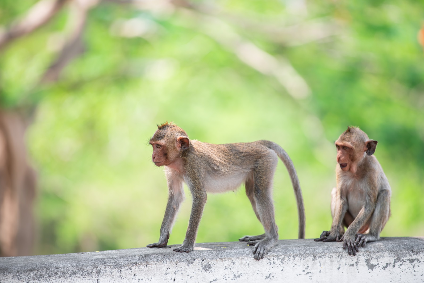 จุดชมวิวเขาสามมุข_jadtrip (3).jpg