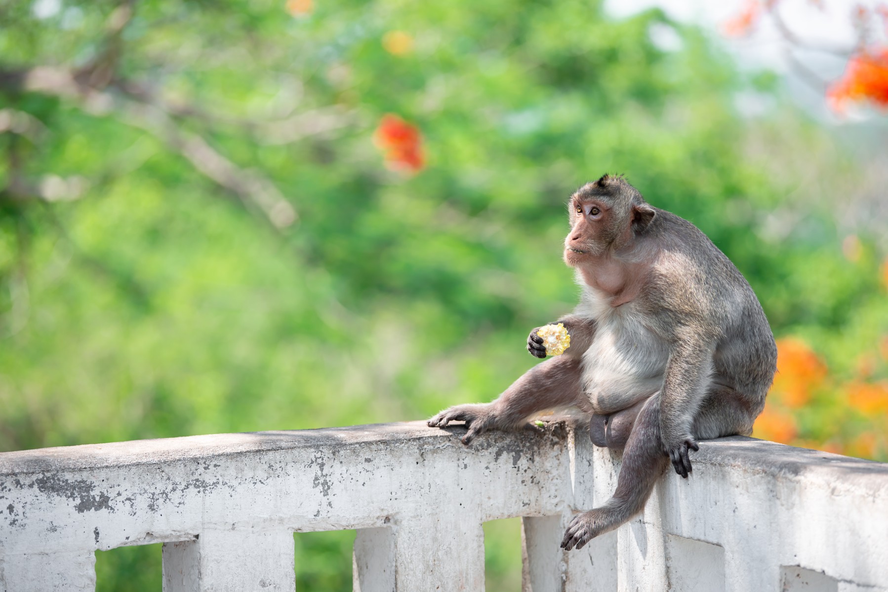 จุดชมวิวเขาสามมุข_jadtrip (4).jpg