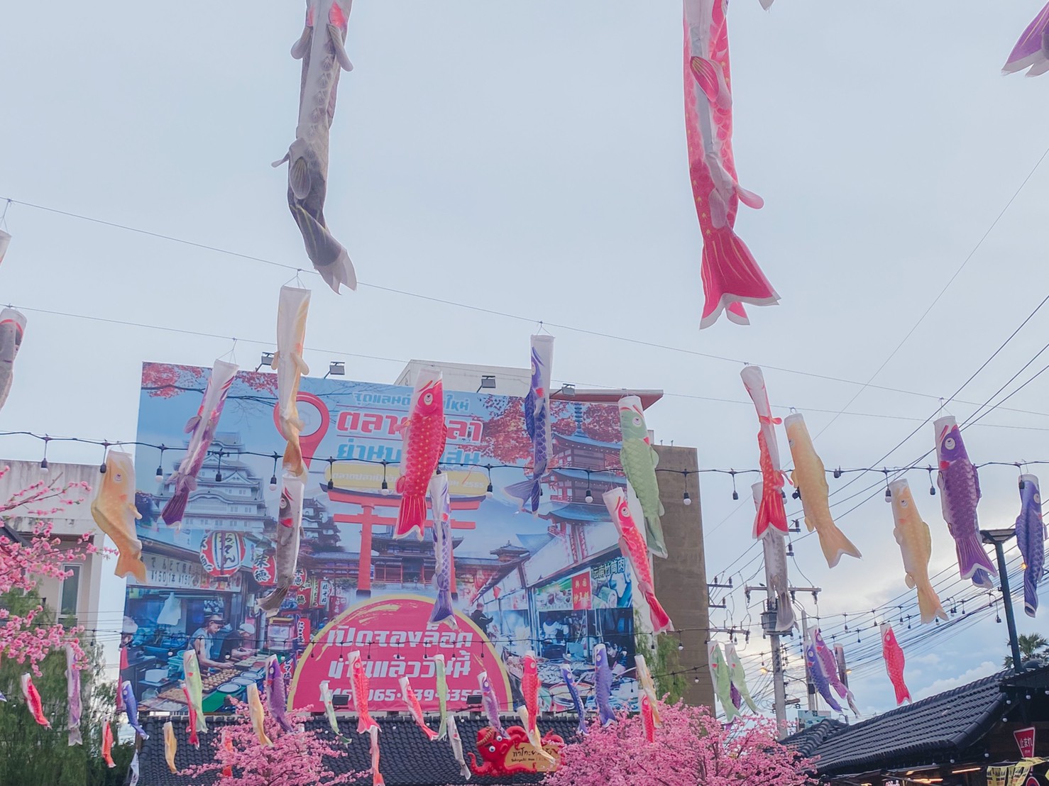 ตลาดปลาบางแสน jadtrip (4).jpg