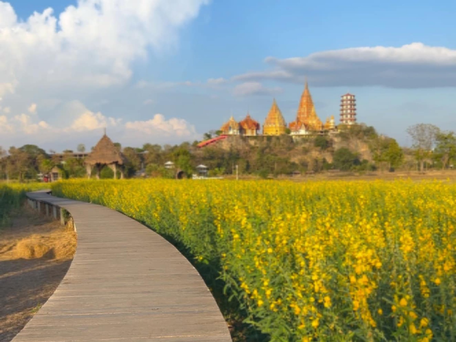 มีนา cafe&#039; Kanchanaburi คาเฟ่กาญจนบุรี_jadtrip (4).jpg
