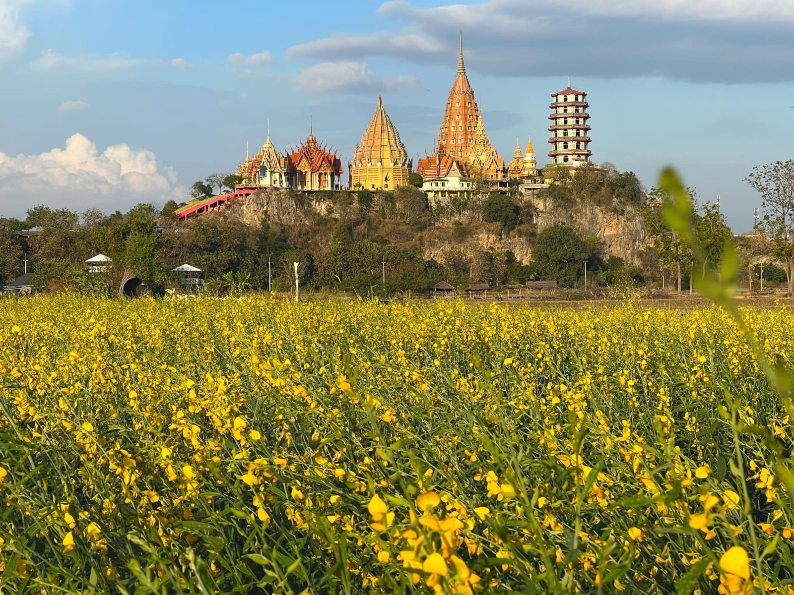 มีนา cafe&#039; Kanchanaburi คาเฟ่กาญจนบุรี_jadtrip (6).jpg