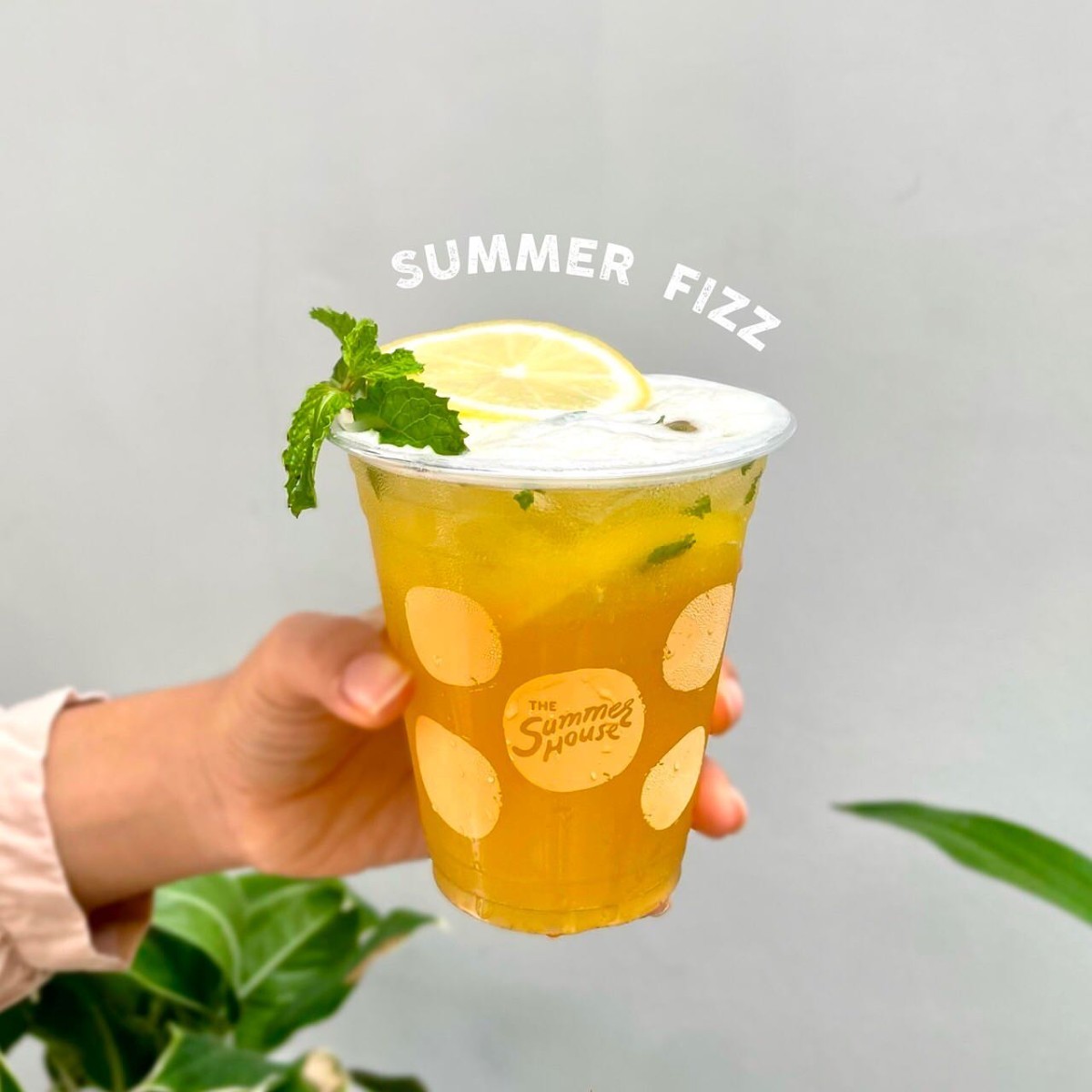 The Summer House คาเฟ่อยุธยา_jadtrip (32).jpg