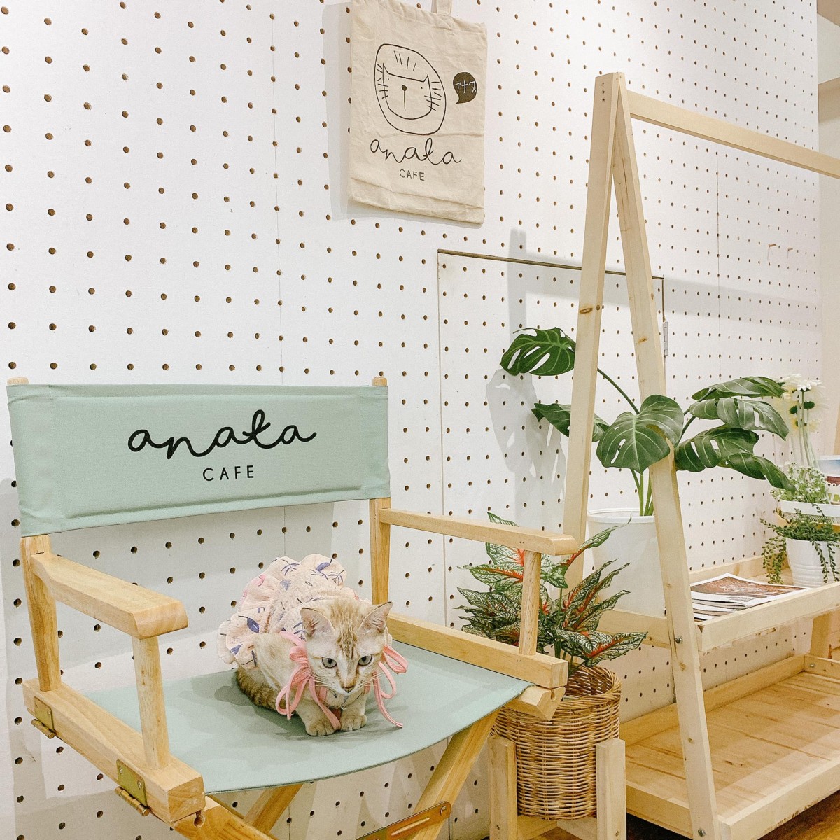 anata cafe -アナタ_jadtrip (28).jpg