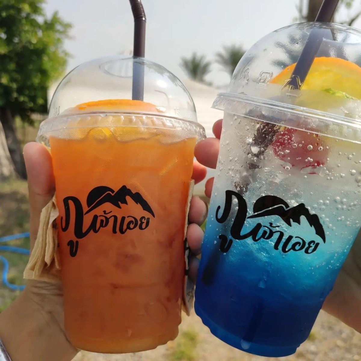 ภูเจ้าเอย_jadtrip (13).jpg