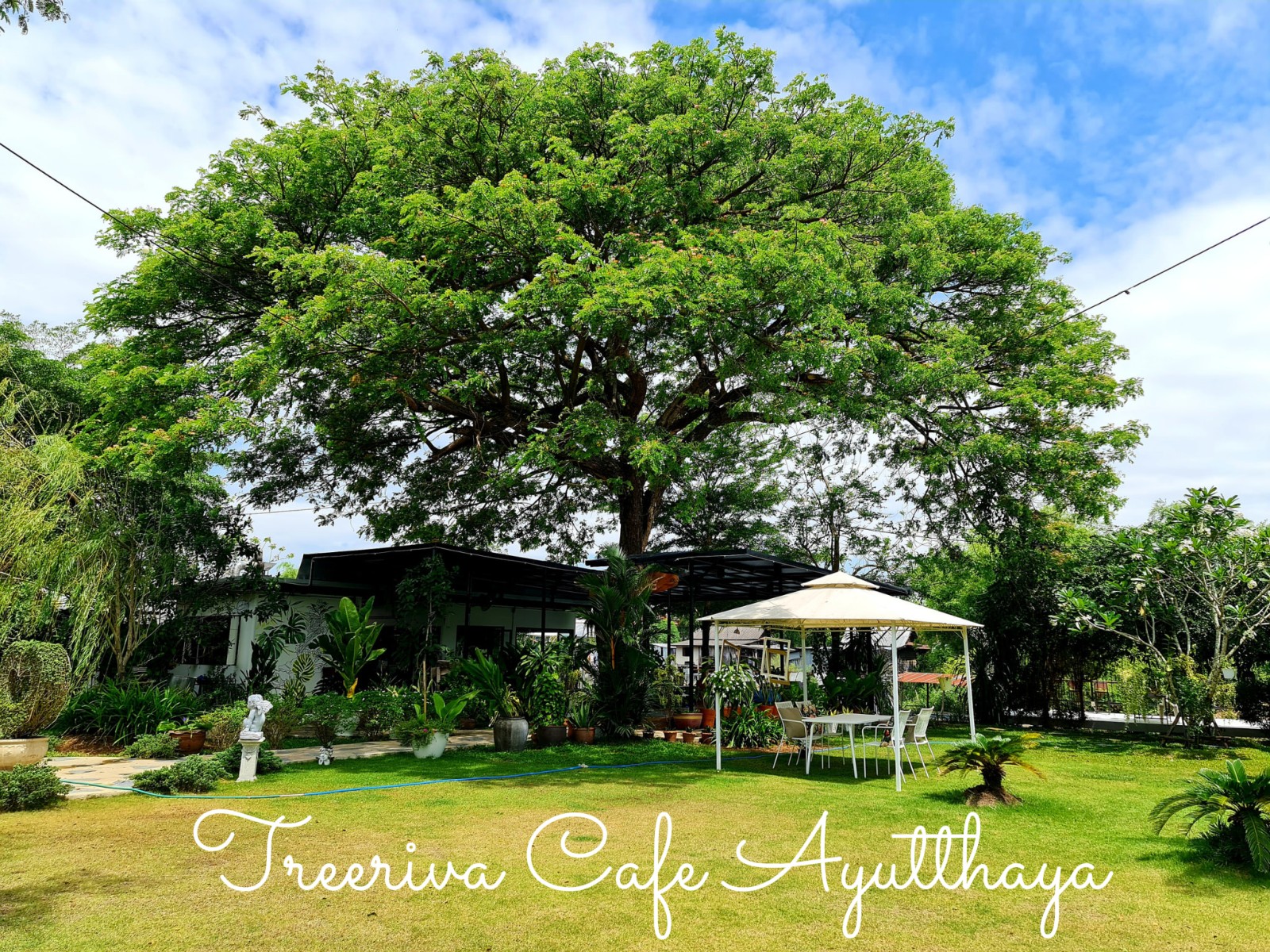Treeriva Cafe Ayutthaya _jadtrip (30).jpg