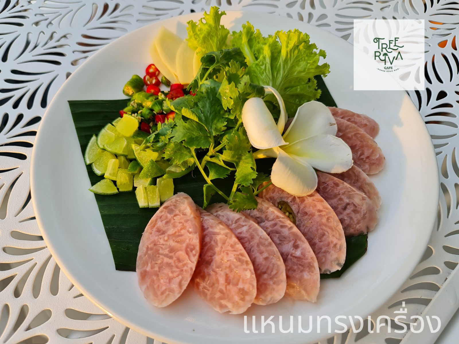 Treeriva Cafe Ayutthaya _jadtrip (29).jpg