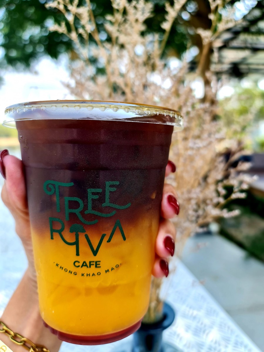 Treeriva Cafe Ayutthaya _jadtrip (10).jpg