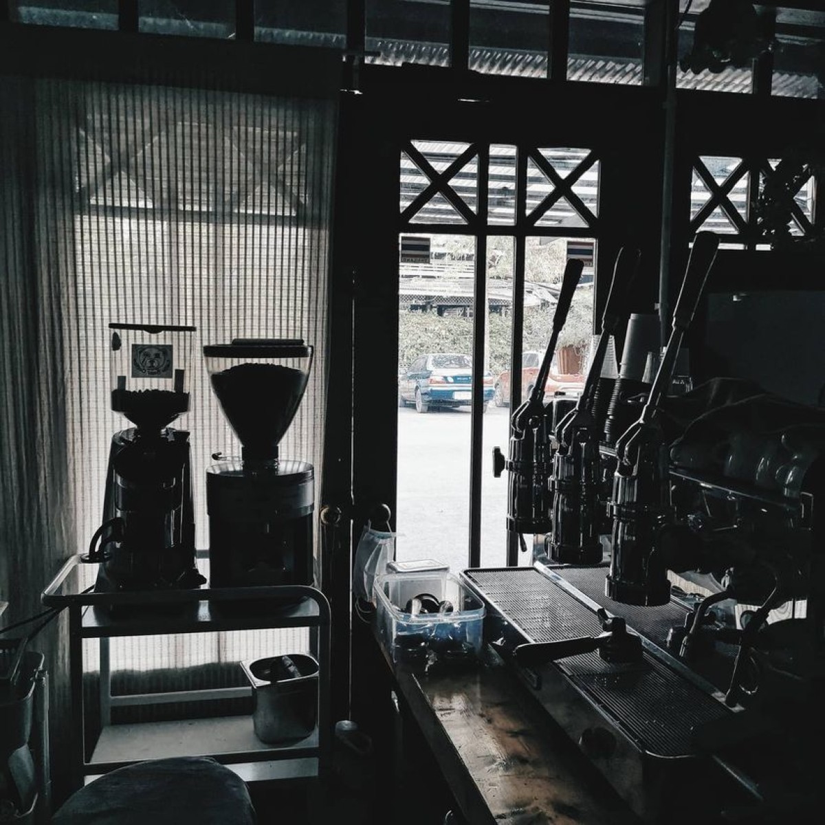 Latte bear coffee_jadtrip (12).jpg