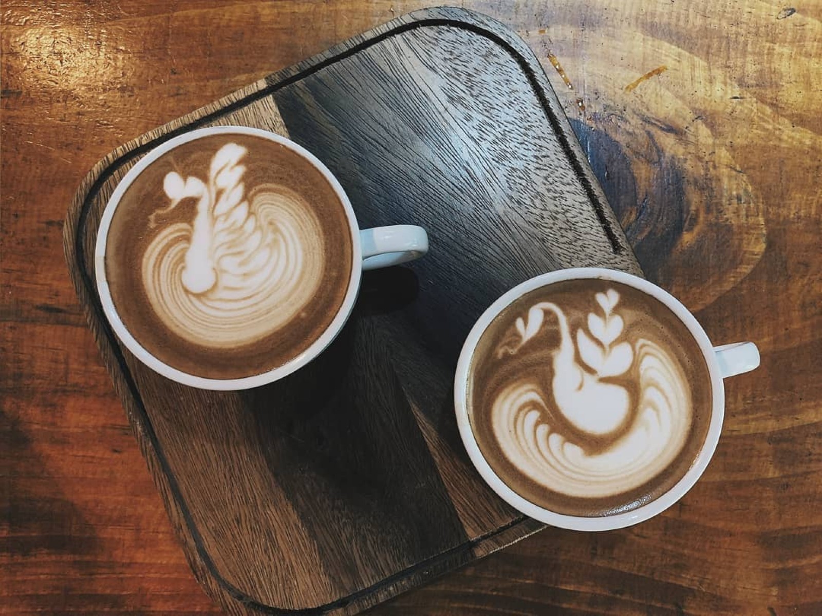 Latte bear coffee_jadtrip (5).jpg