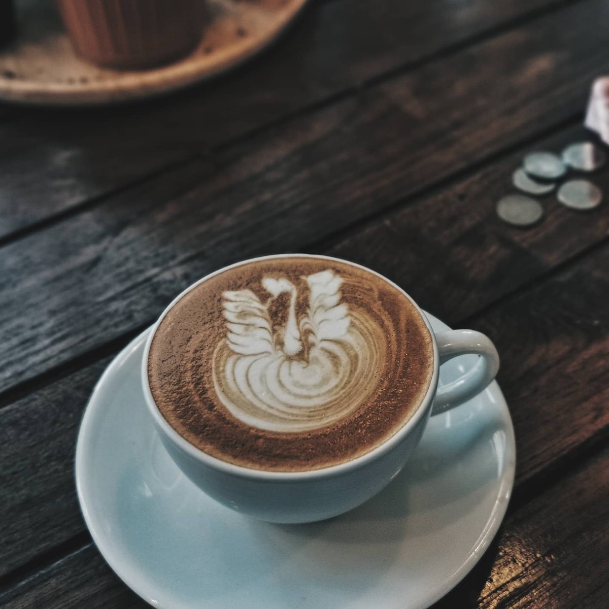 Latte bear coffee_jadtrip (9).jpg