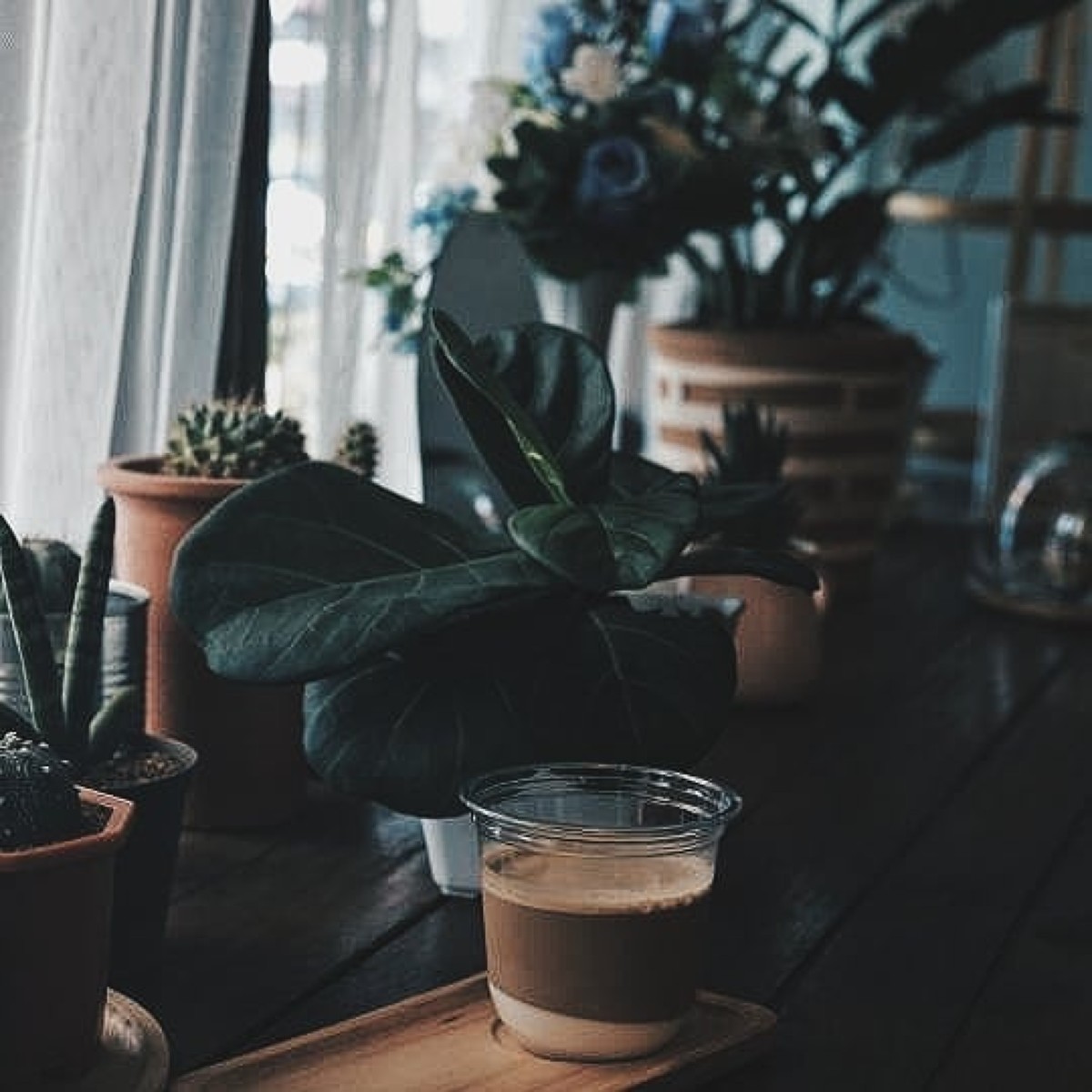 Latte bear coffee_jadtrip (10).jpg