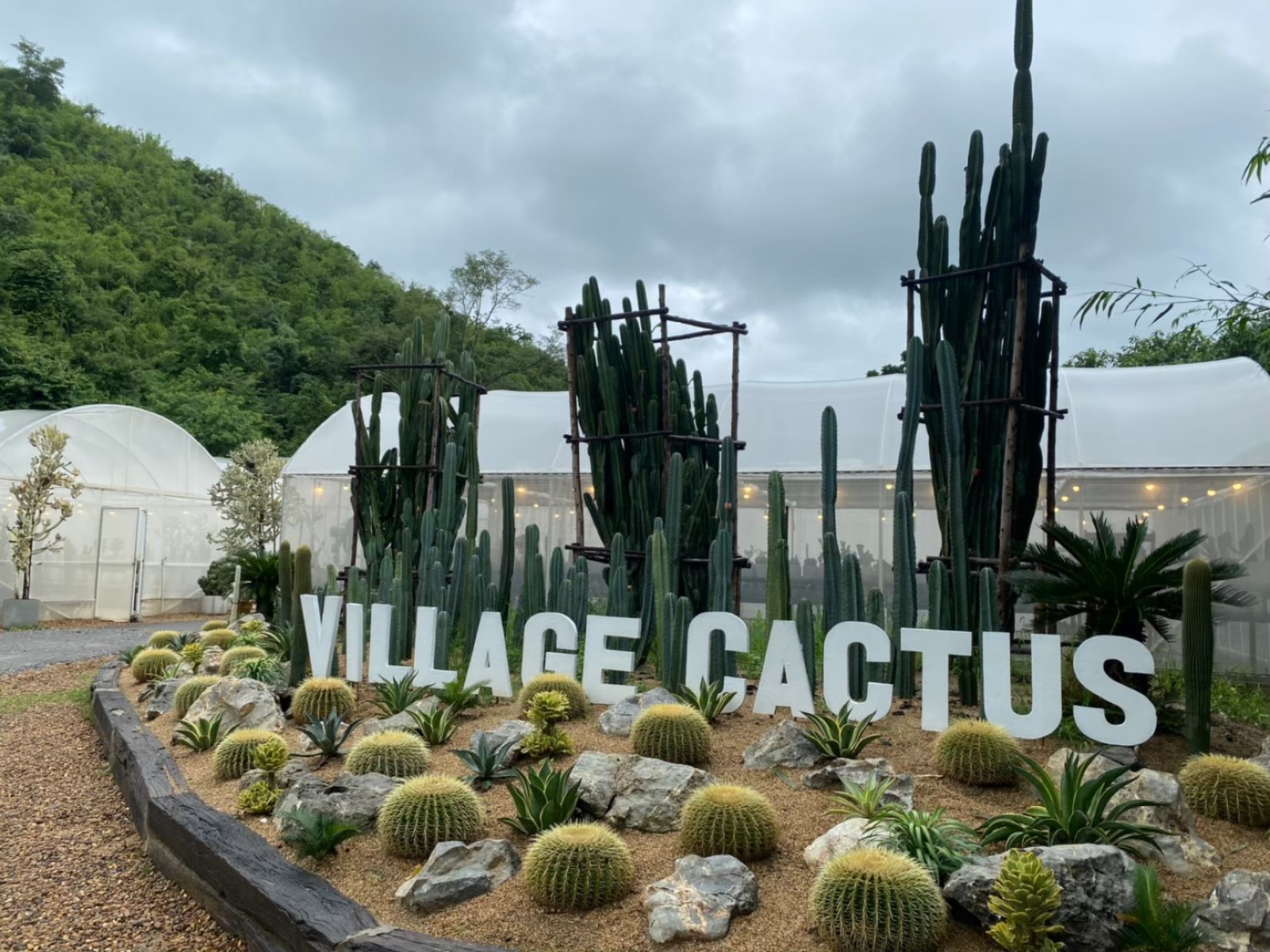 The Village Farm To Café_jadtrip (3).jpg