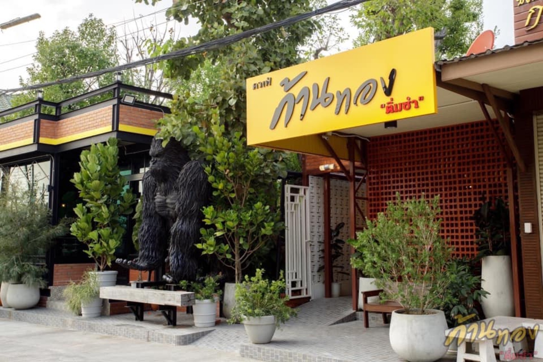 คาเฟ่ก้านทอง”ติ่มซำ”  jadtrip (9).jpg