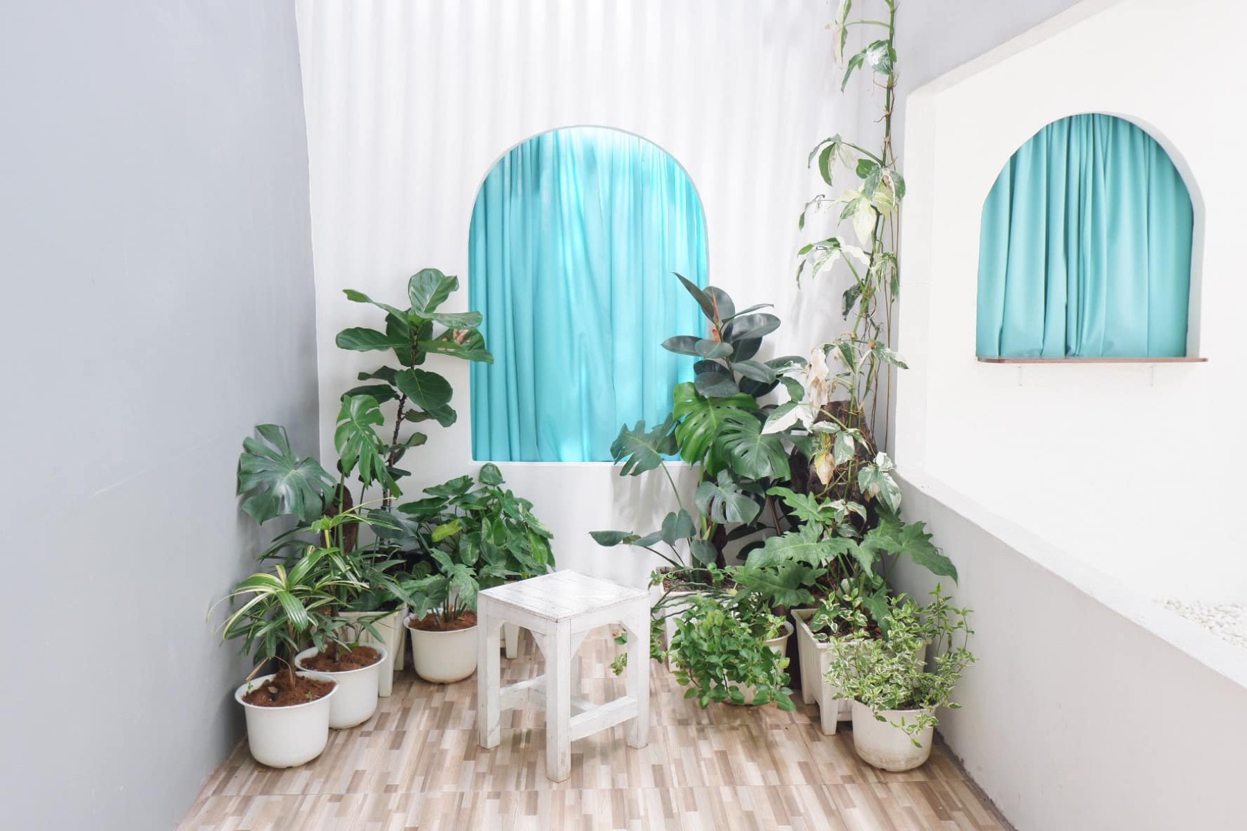 สวนไม้บ้านทุ่ง jadtrip (26).jpg