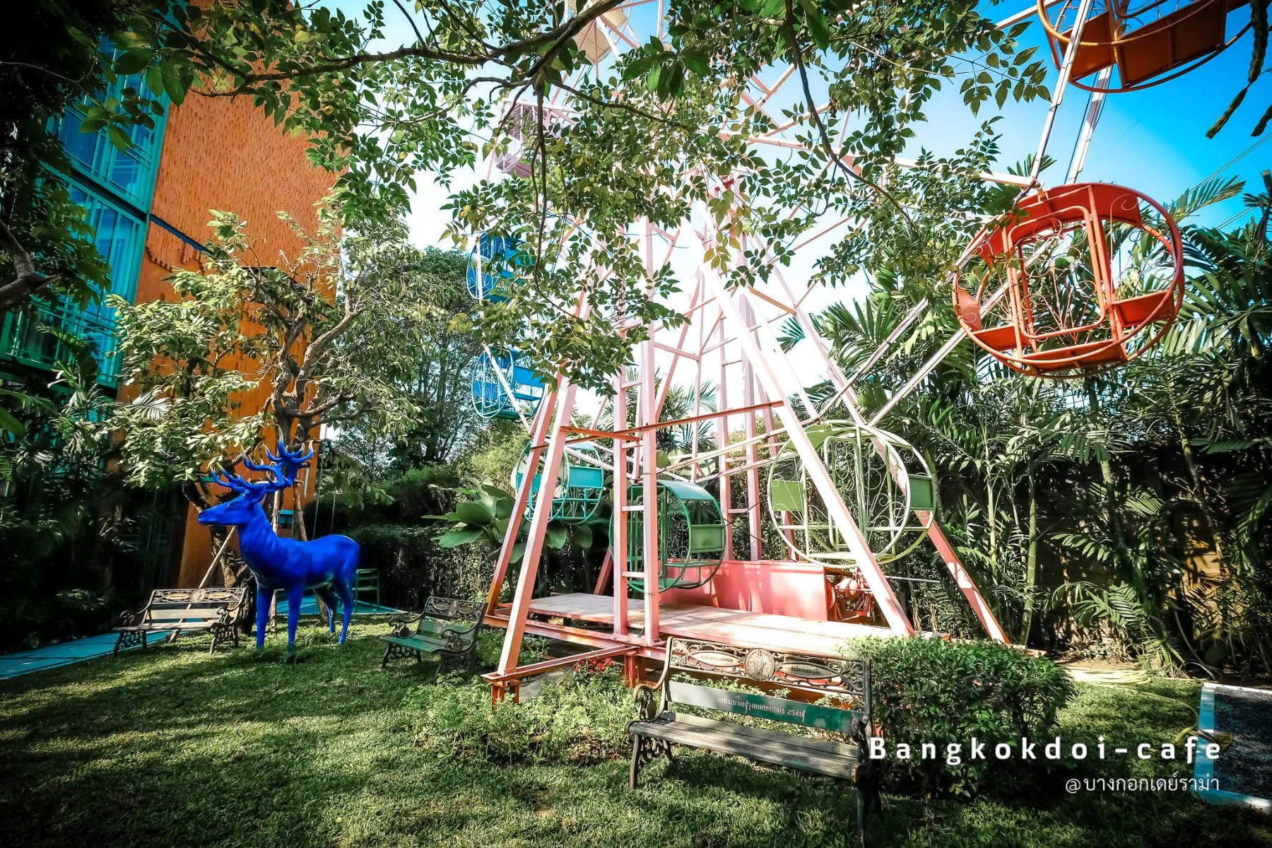 บางกอกดอยคาเฟ่ jadtrip (8).jpg