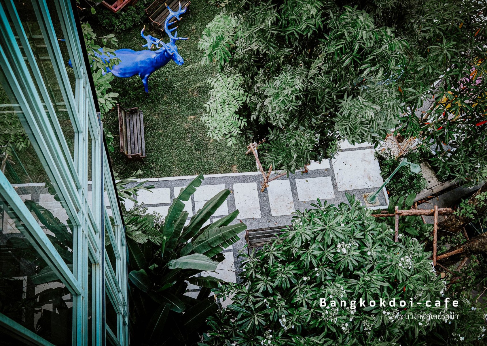 บางกอกดอยคาเฟ่ jadtrip (17).jpg