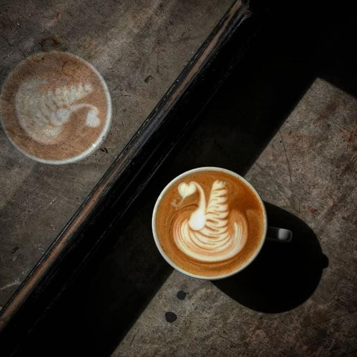 MONOCHROME coffee roaster_jadtrip (11).jpg