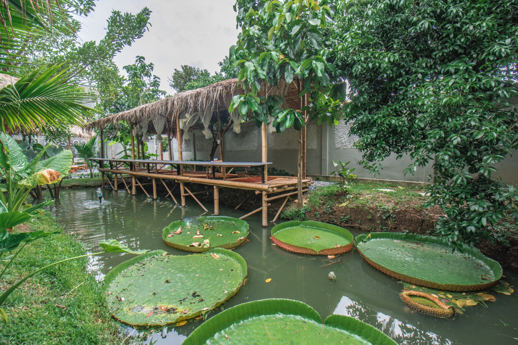 มอระดก CAFE_jadtrip (10).jpg