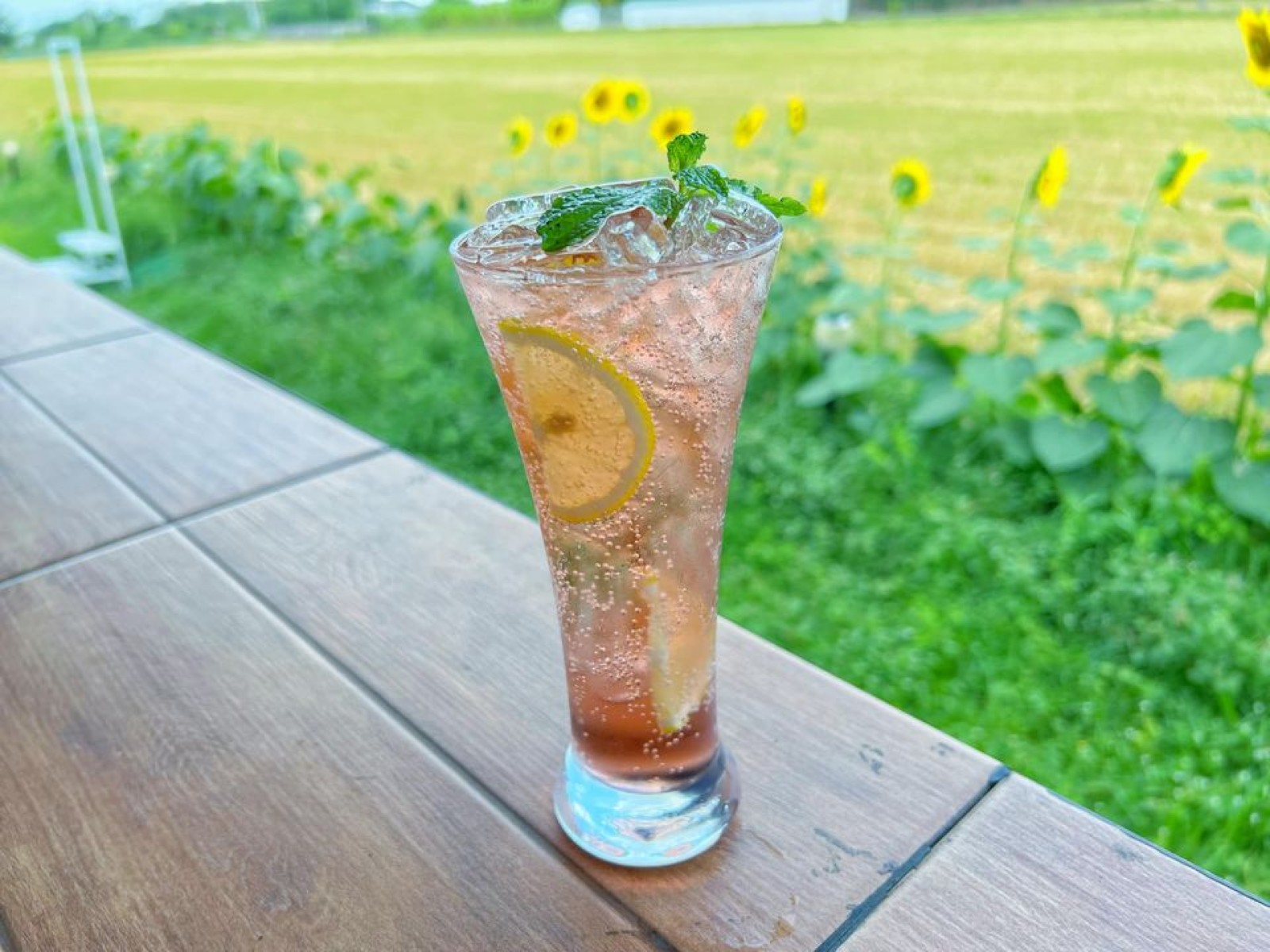 สวิตต์ Cafe Bar Reataurant_jadtrip (36).jpg