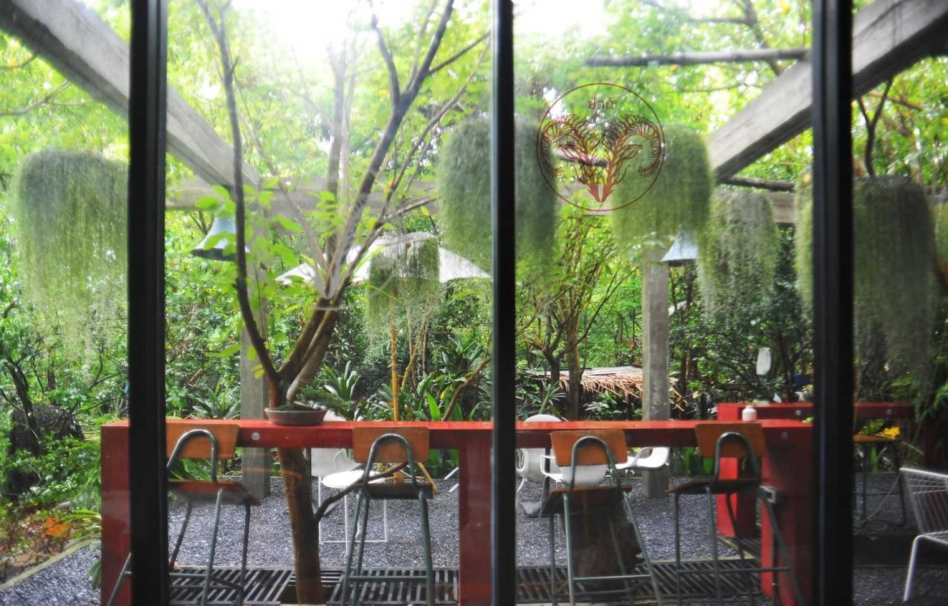 ป่าก์ Cafe’ _jadtrip (25).jpg