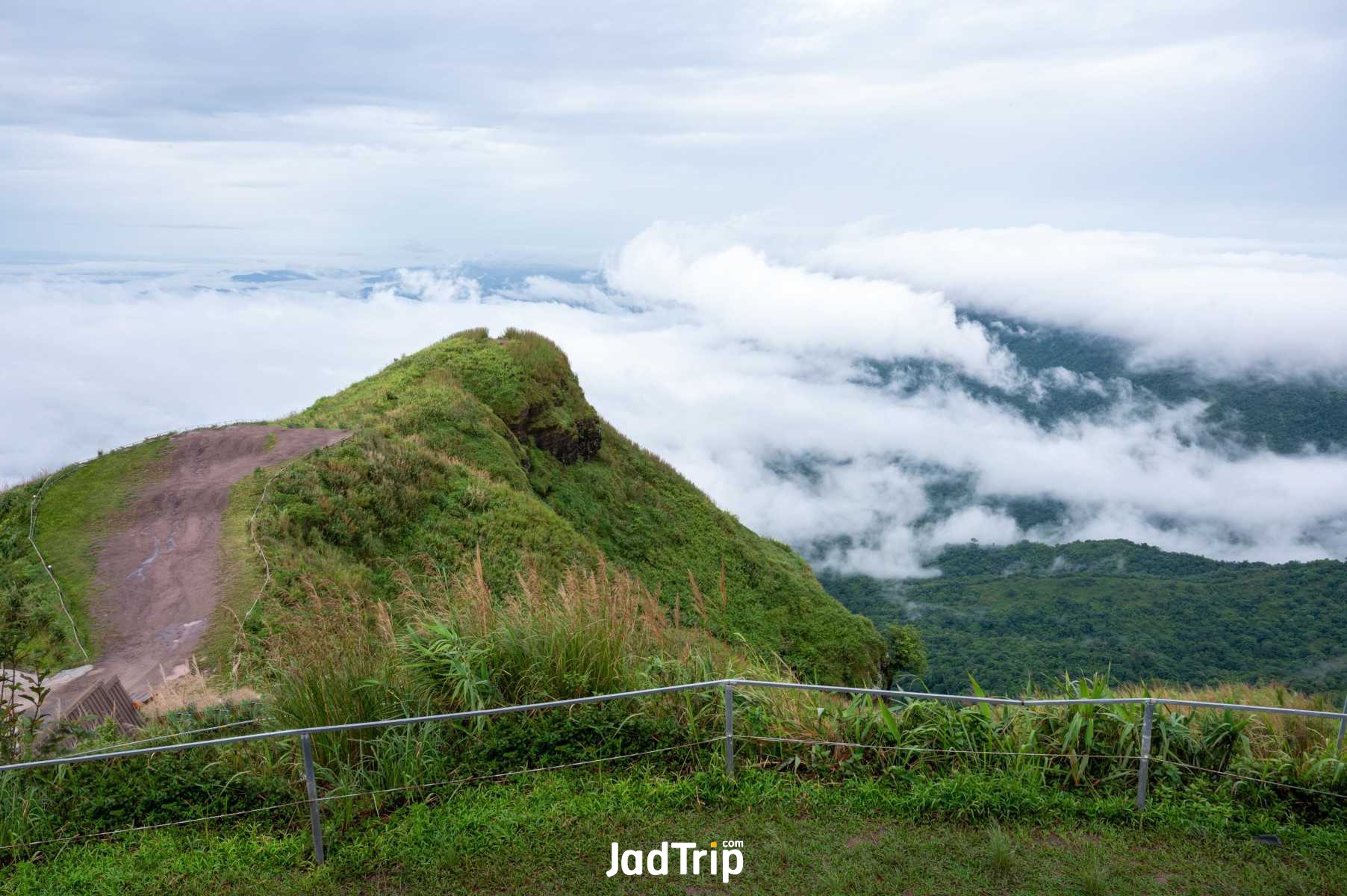 ผาหัวสิงห์ ภูทับเบิก_jadtrip (4).jpg