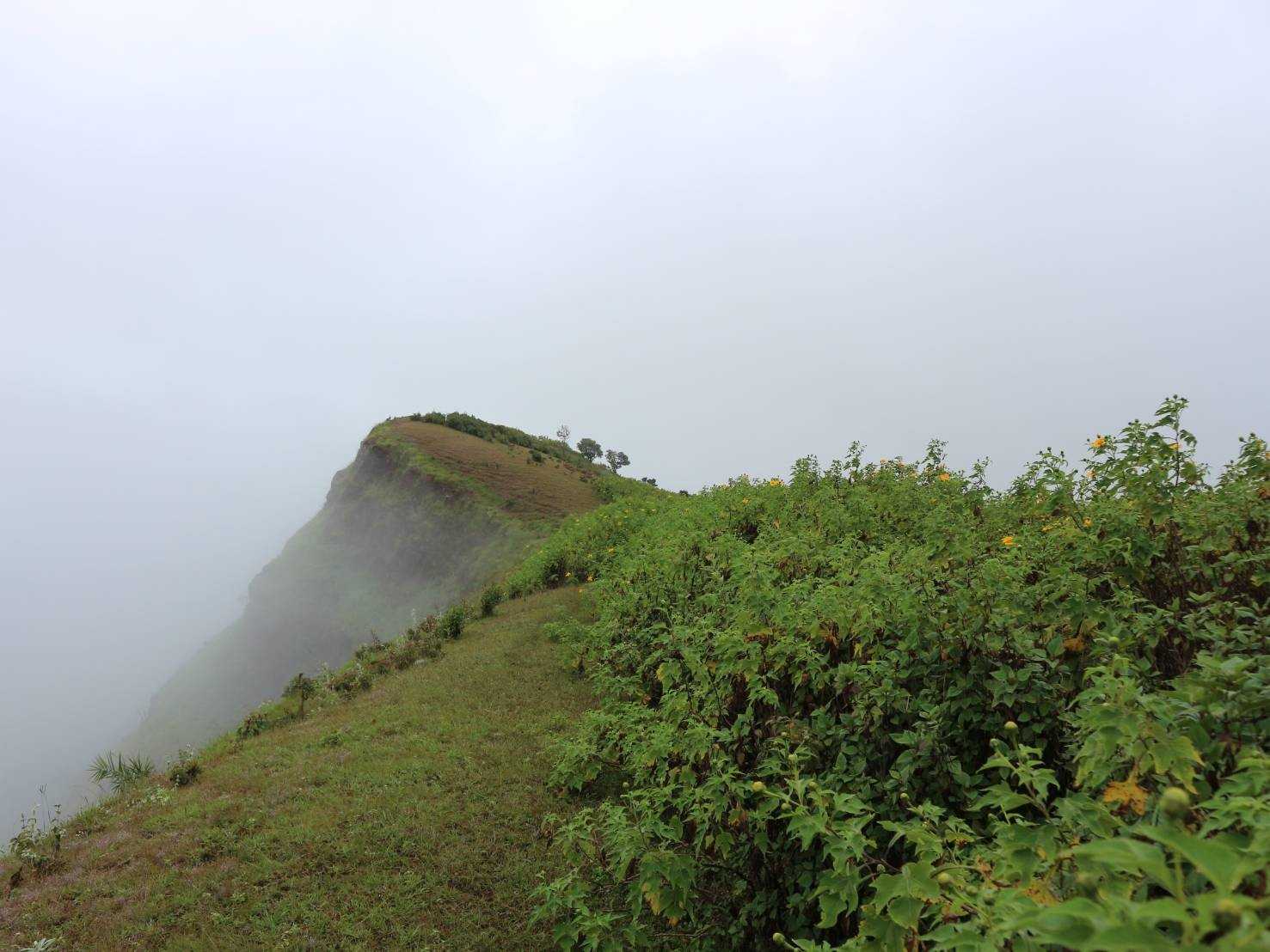 ดอยปุยหลวง (13).jpg