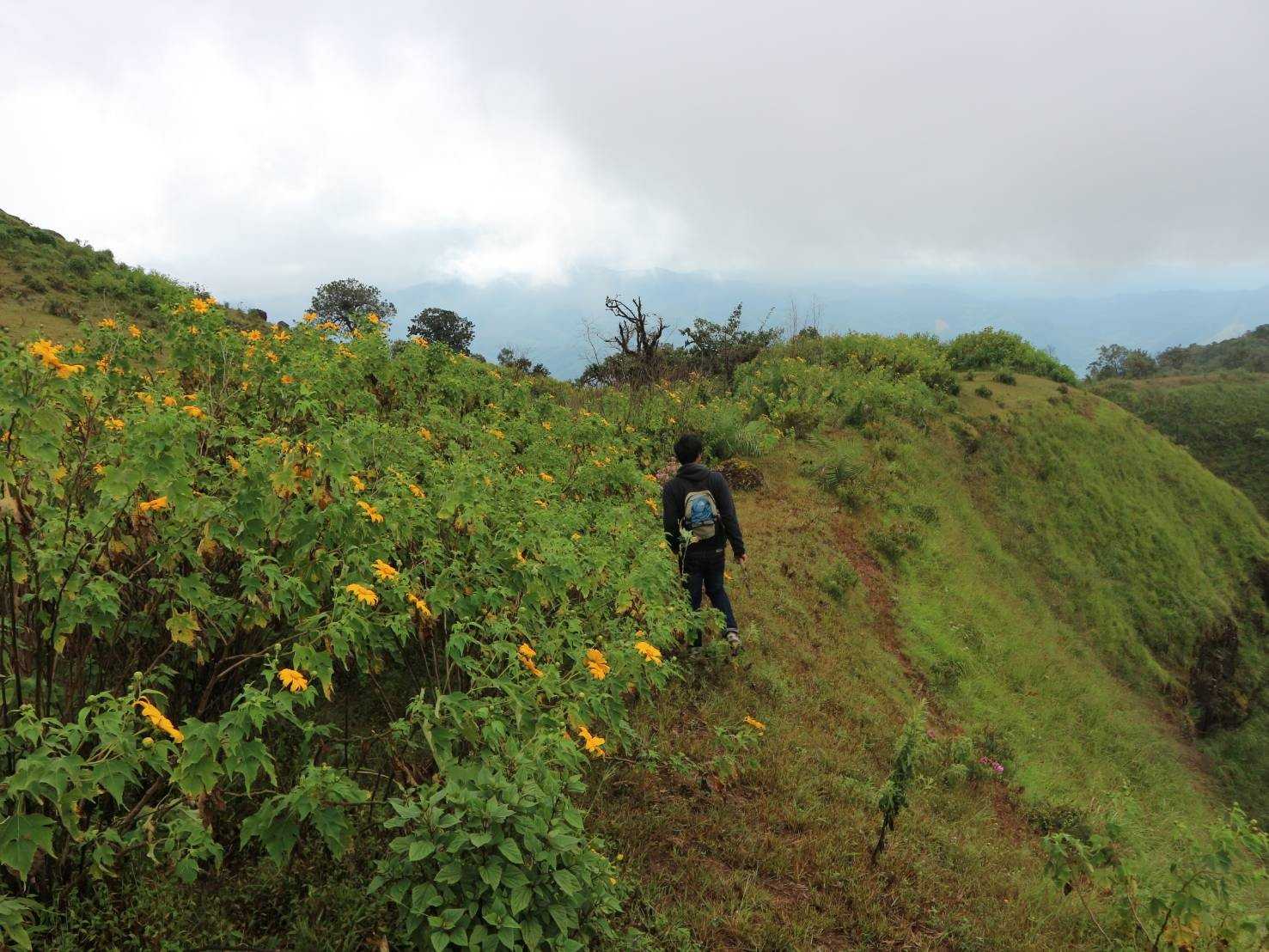 ดอยปุยหลวง (14).jpg