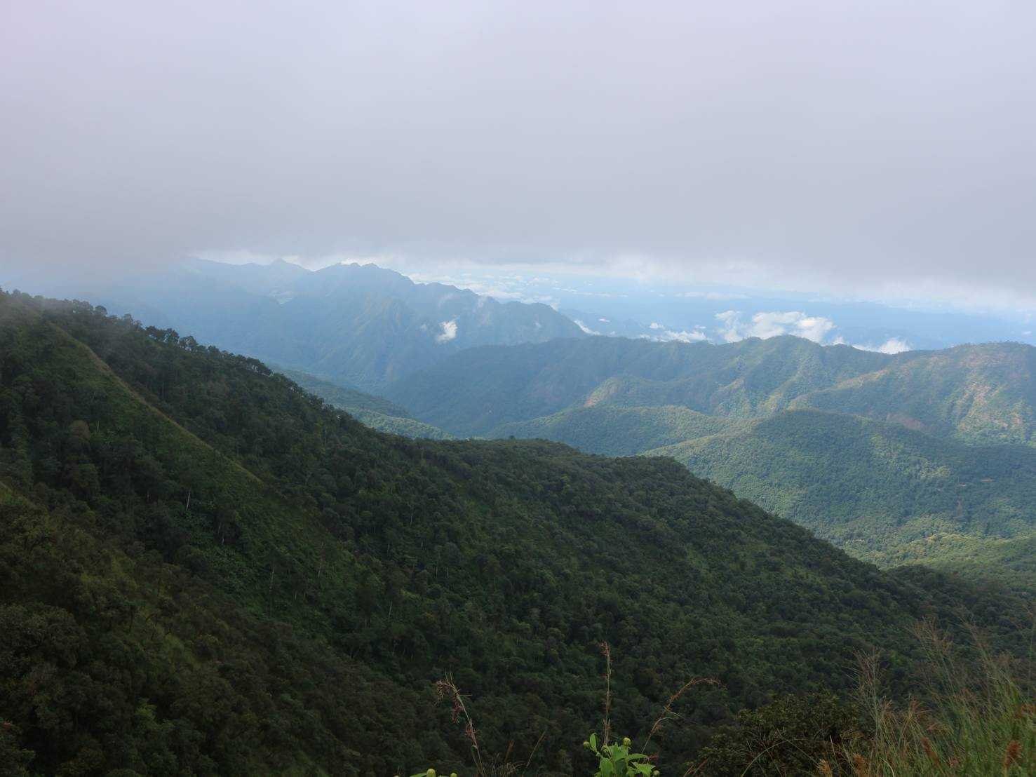 ดอยปุยหลวง (15).jpg