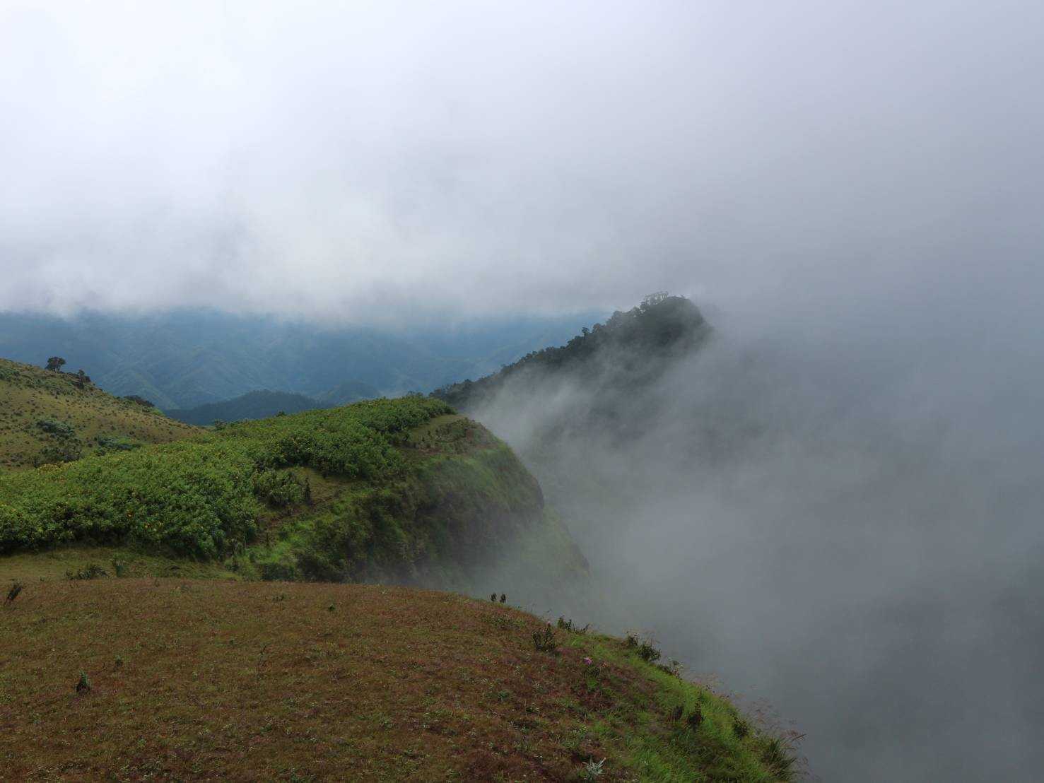 ดอยปุยหลวง (8).jpg
