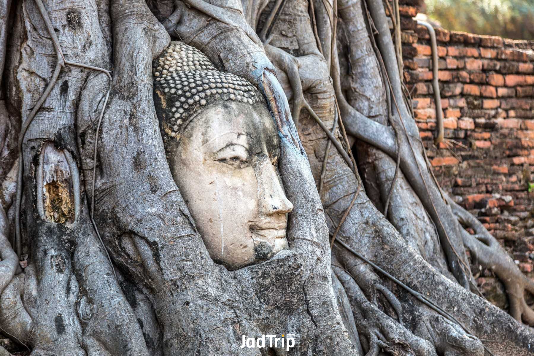 วัดมหาธาตุ_jadtrip (2).jpg