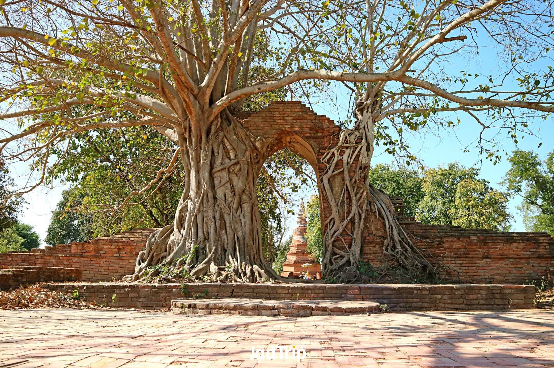 วัดพระงาม_jadtrip (11).jpg