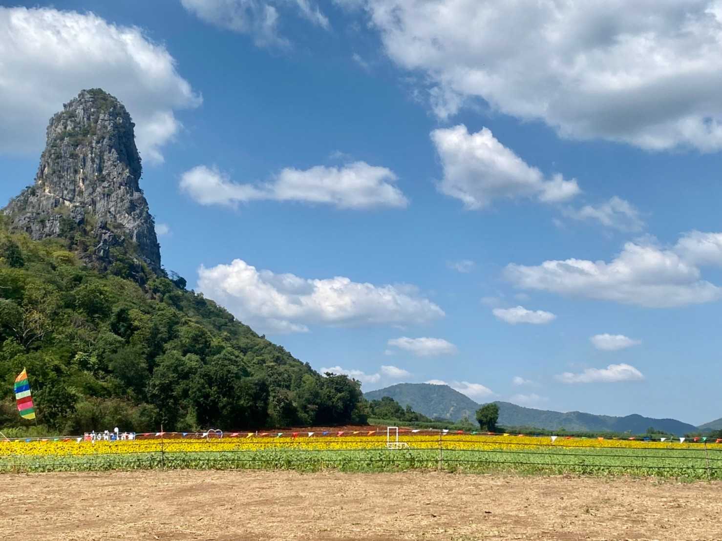 ทุ่งทานตะวัน ไร่ฟ้าใส jadtrip (8).jpg