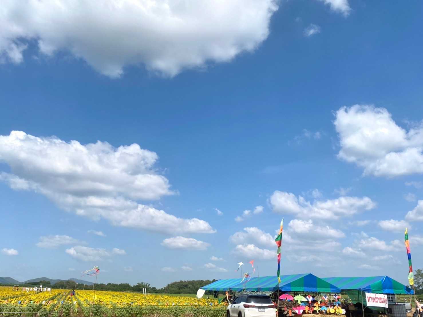 ทุ่งทานตะวัน ไร่ฟ้าใส jadtrip (16).jpg