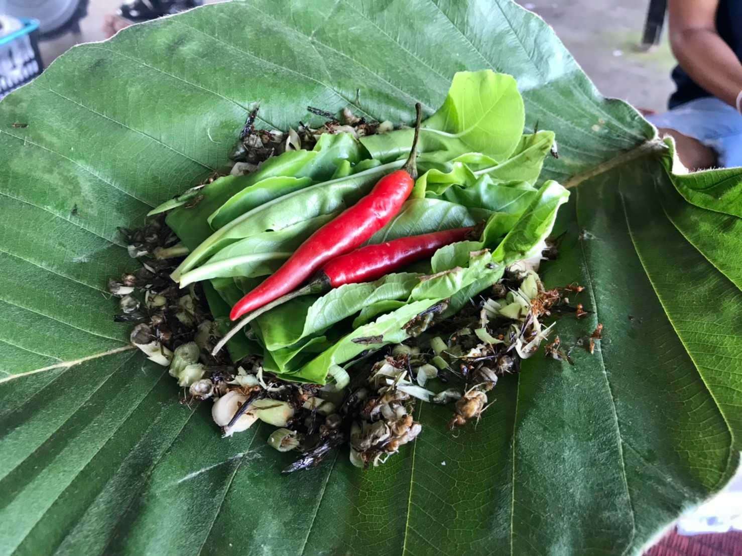 โลมา ซีฟู้ดด พัทยาน้อย อุบล (5).jpg