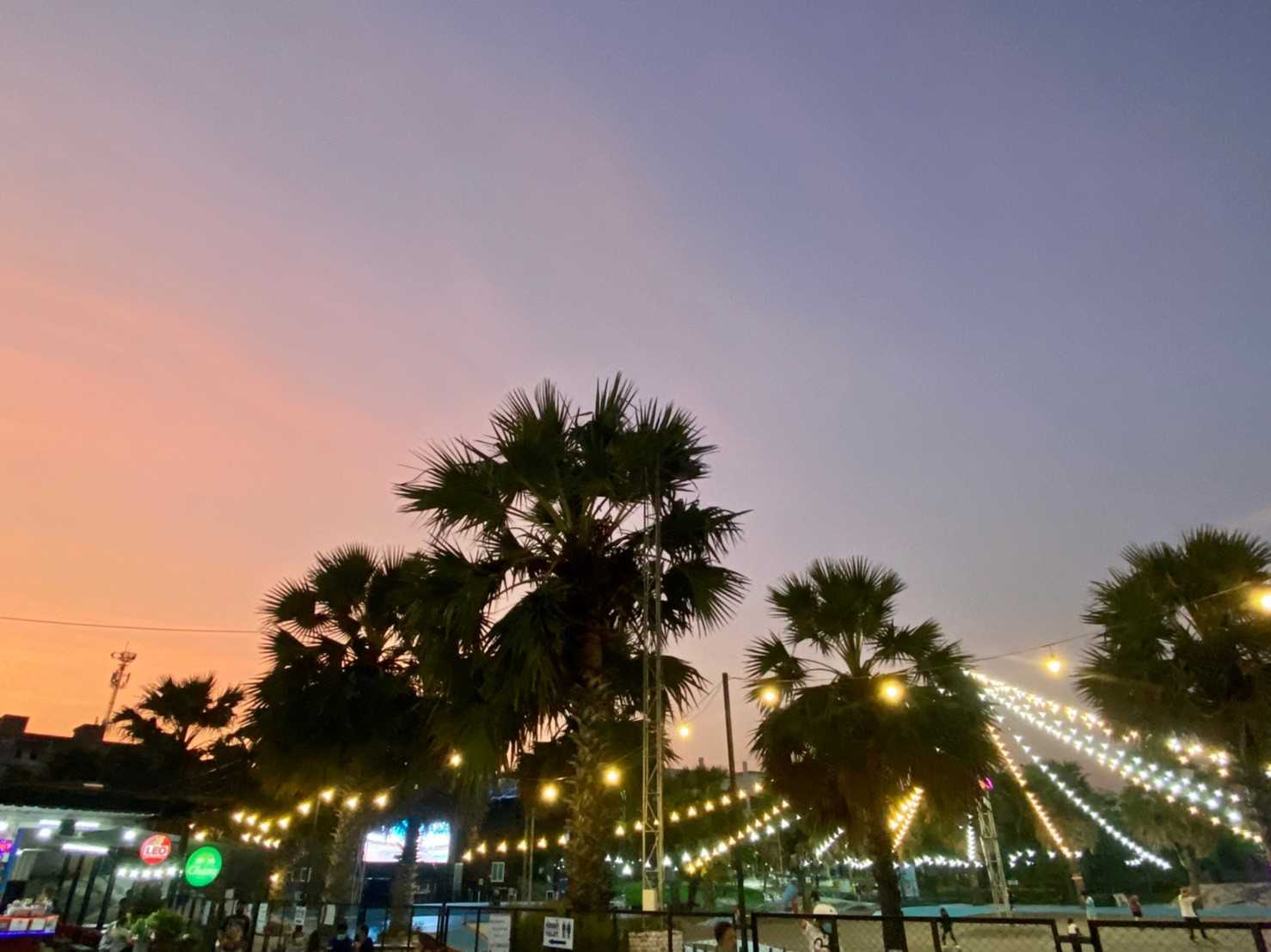 ตลาดนกฮู2ปทุมธานี (11).jpg