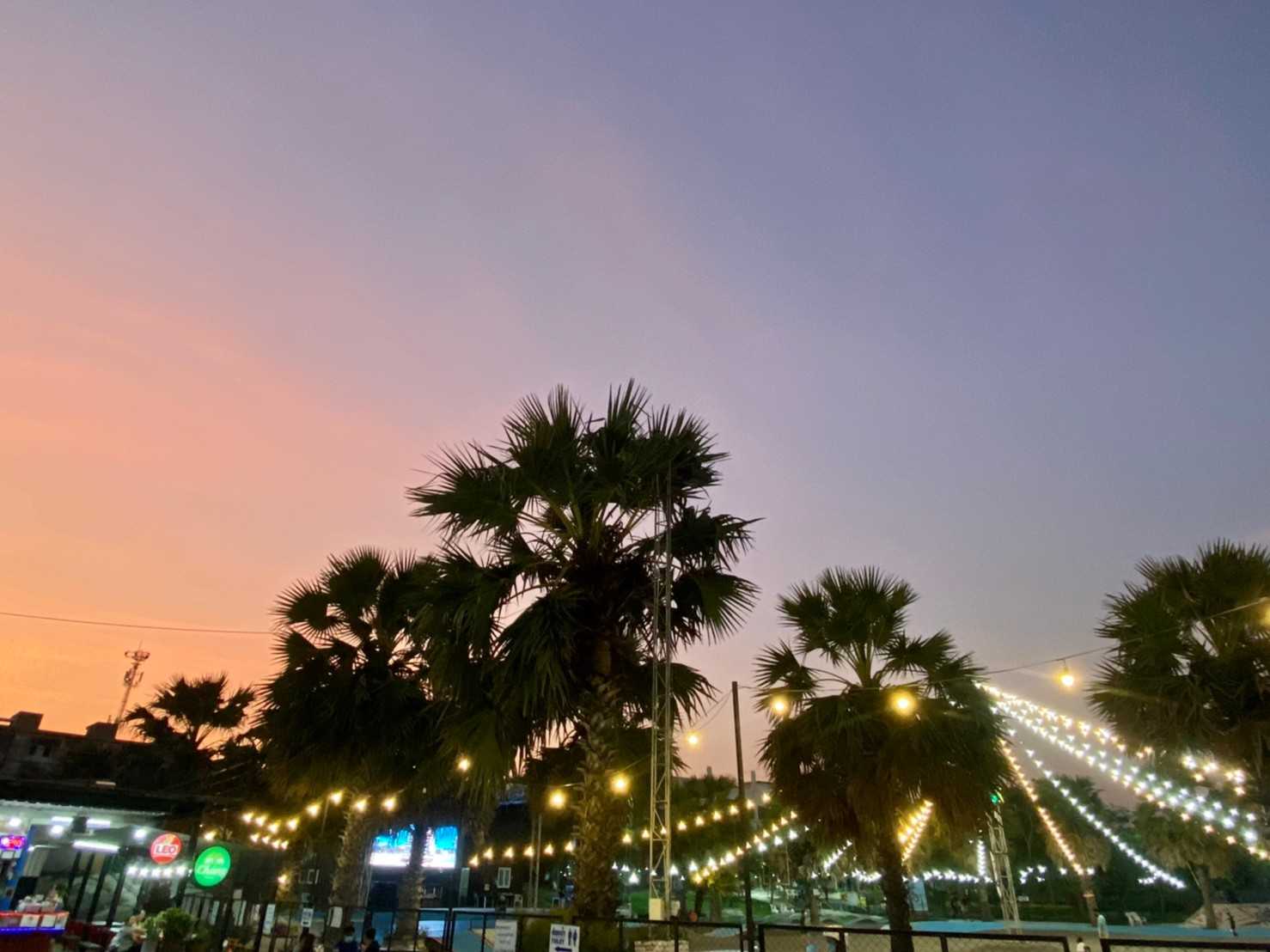 ตลาดนกฮู2ปทุมธานี (10).jpg