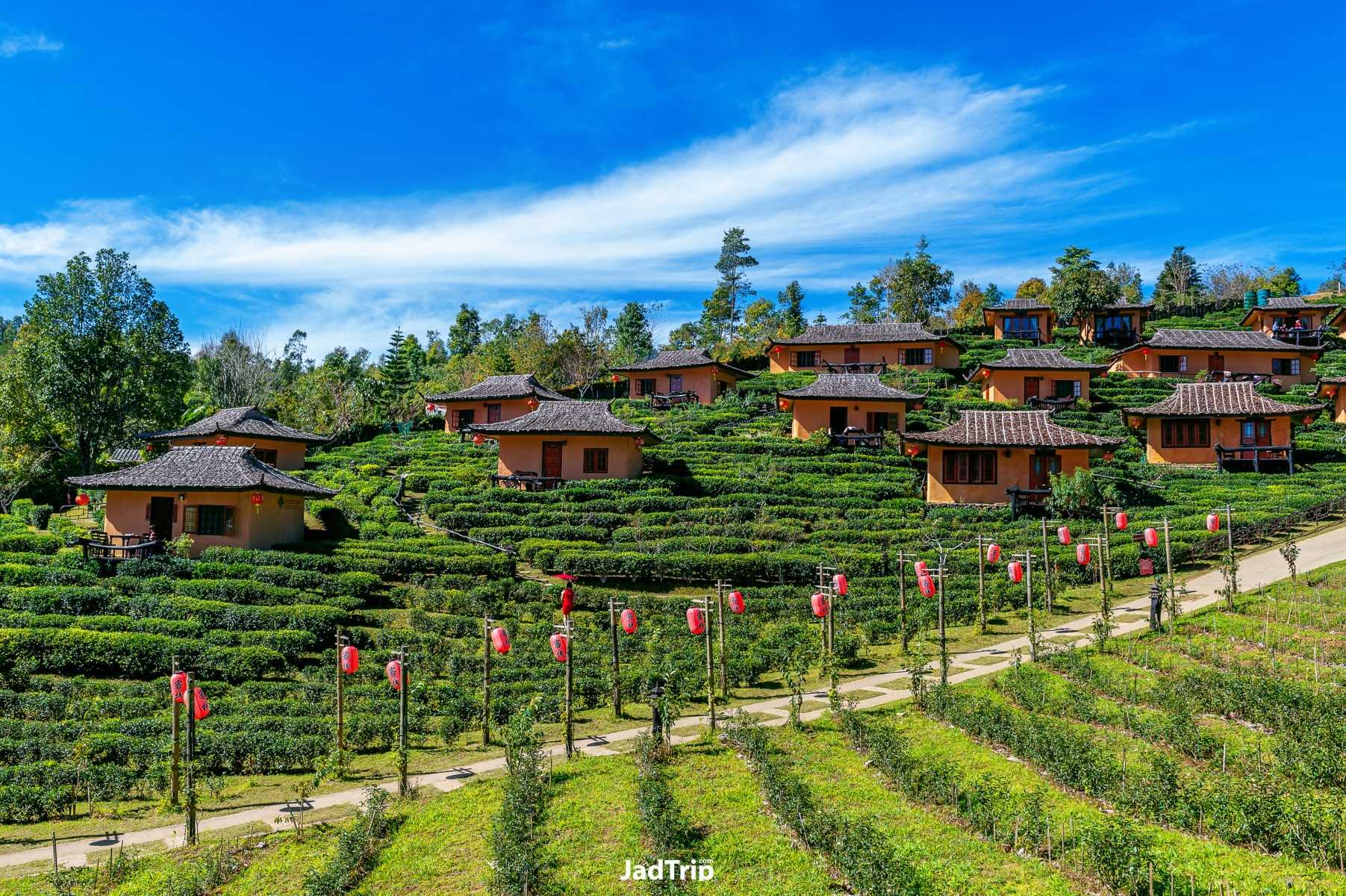 บ้านรักไทย แม่ฮ่องสอน หมู่บ้านชาวจีนยูนนาน_jadtrip (3).jpg