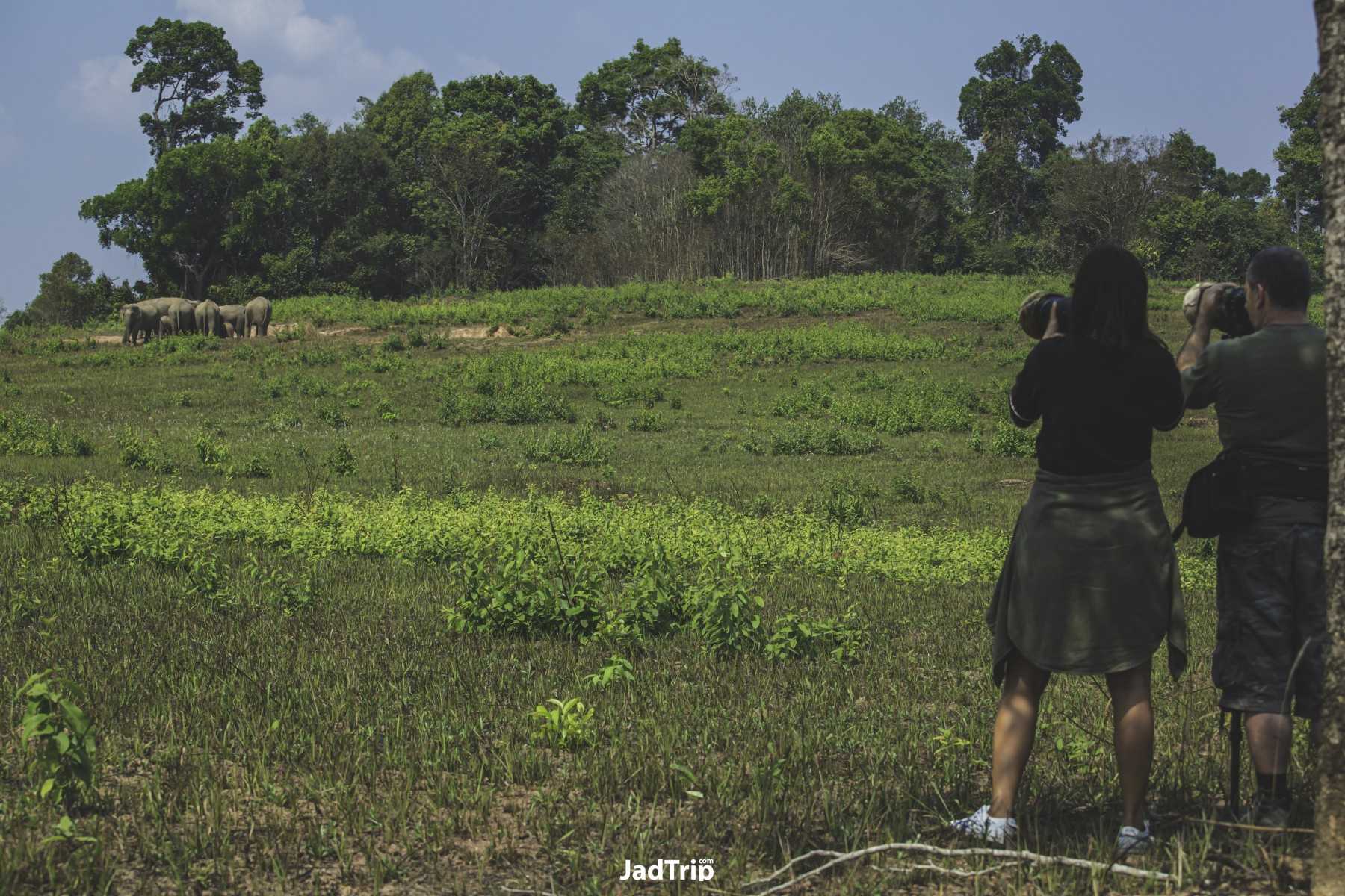 เขาใหญ่ นครราชสีมา_jadtrip.jpg