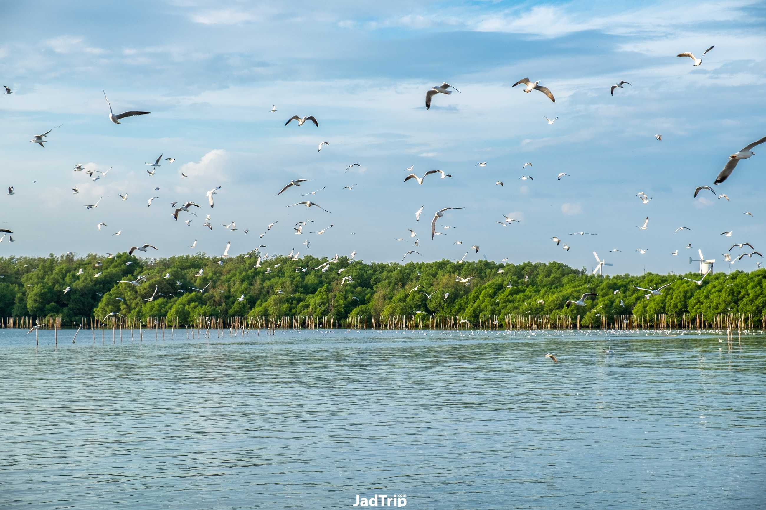 บางปู_jadtrip (1).jpg