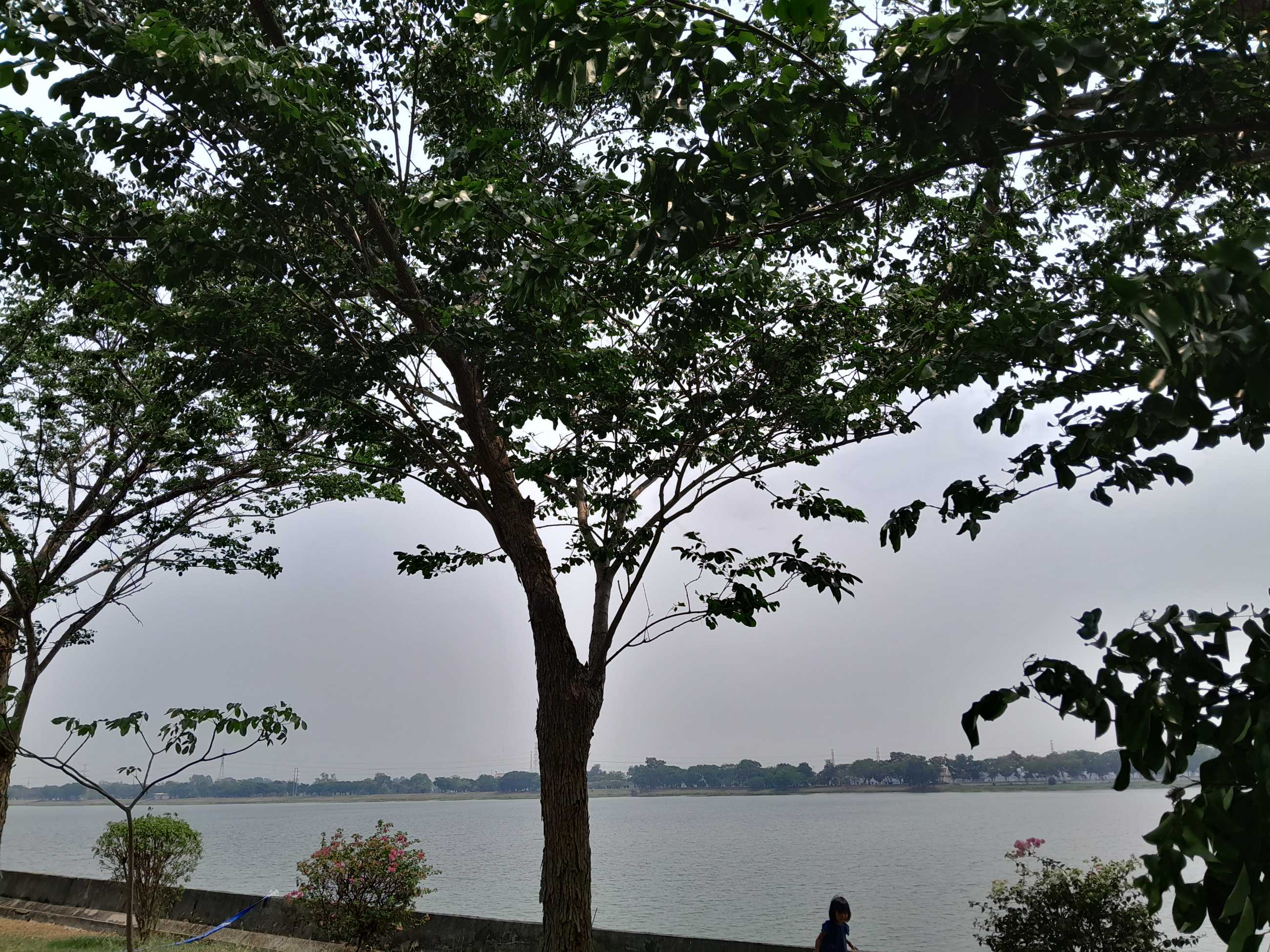 20230414_133917.jpg