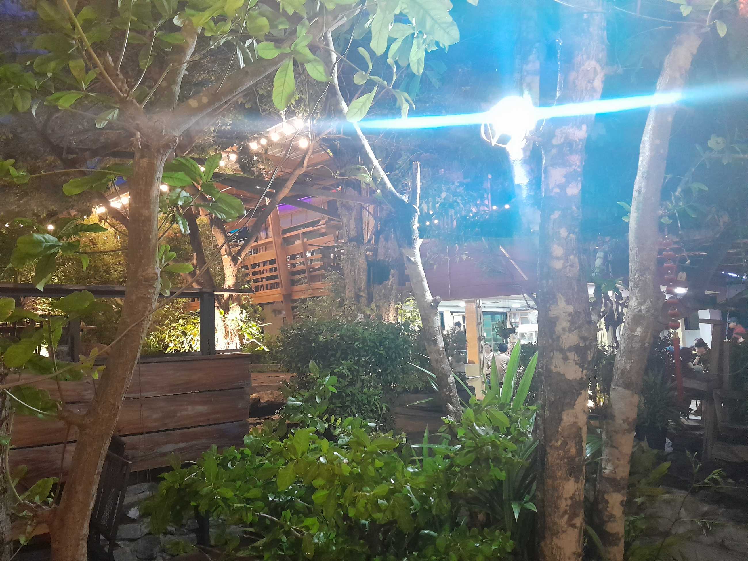 20230731_191218.jpg