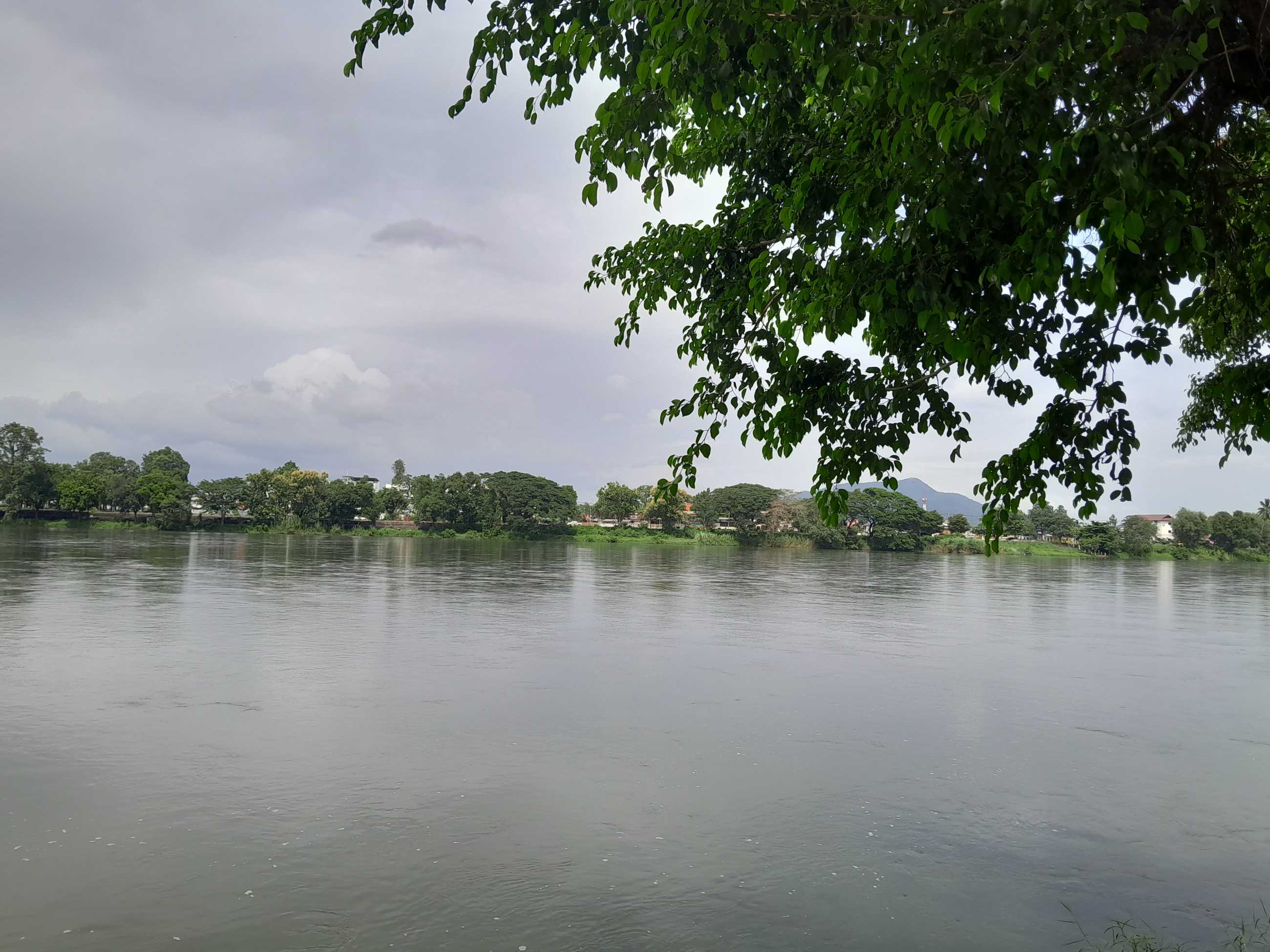 20230801_142951.jpg