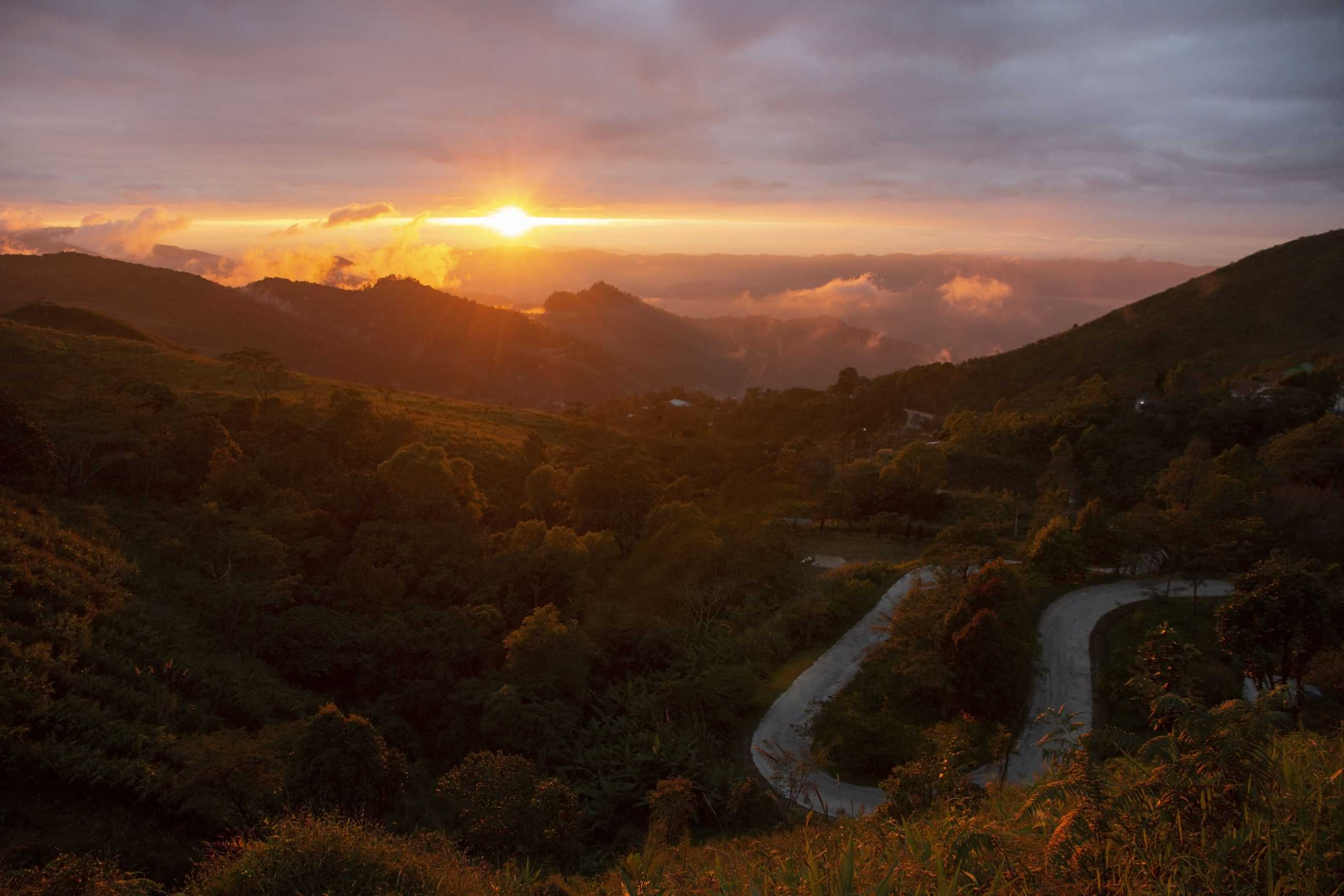 beautiful-scene-view-point-doi-pha-tang-chiang-rai-thailand_แปลงไฟล์.jpg