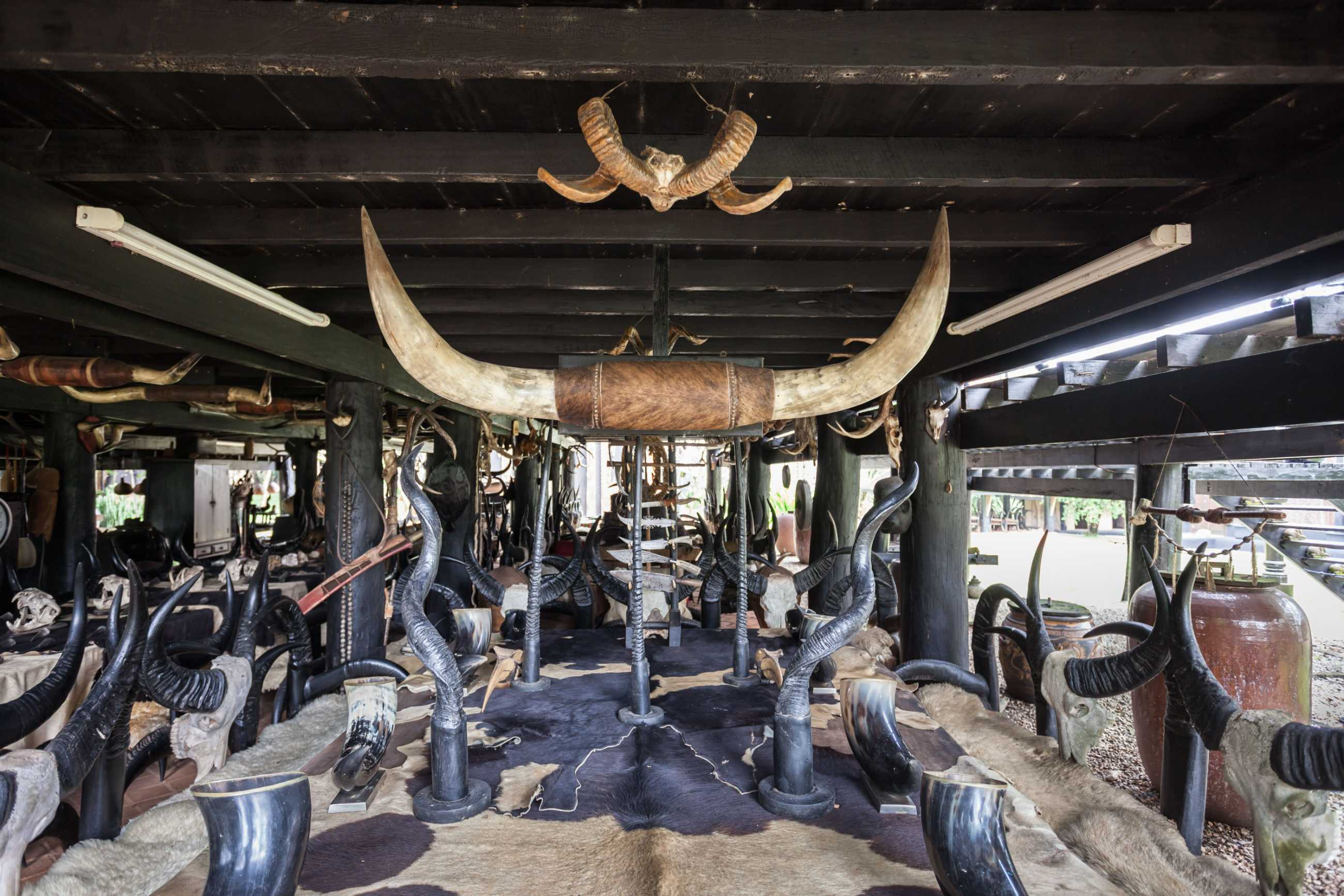 chiang-rai-thailand-november-05-2014-baan-dam-museum-interior (4)_แปลงไฟล์.jpg